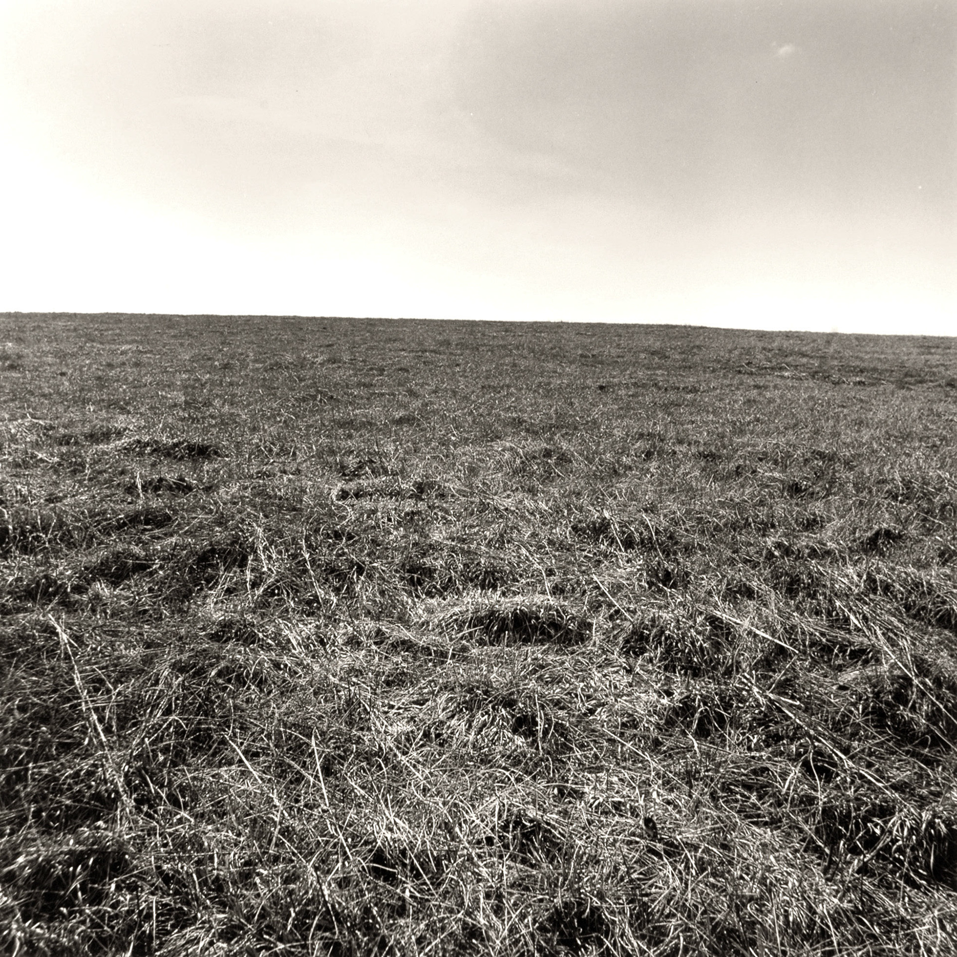 Sacred Spaces-The Close: A Song of Creation | Pulaski County