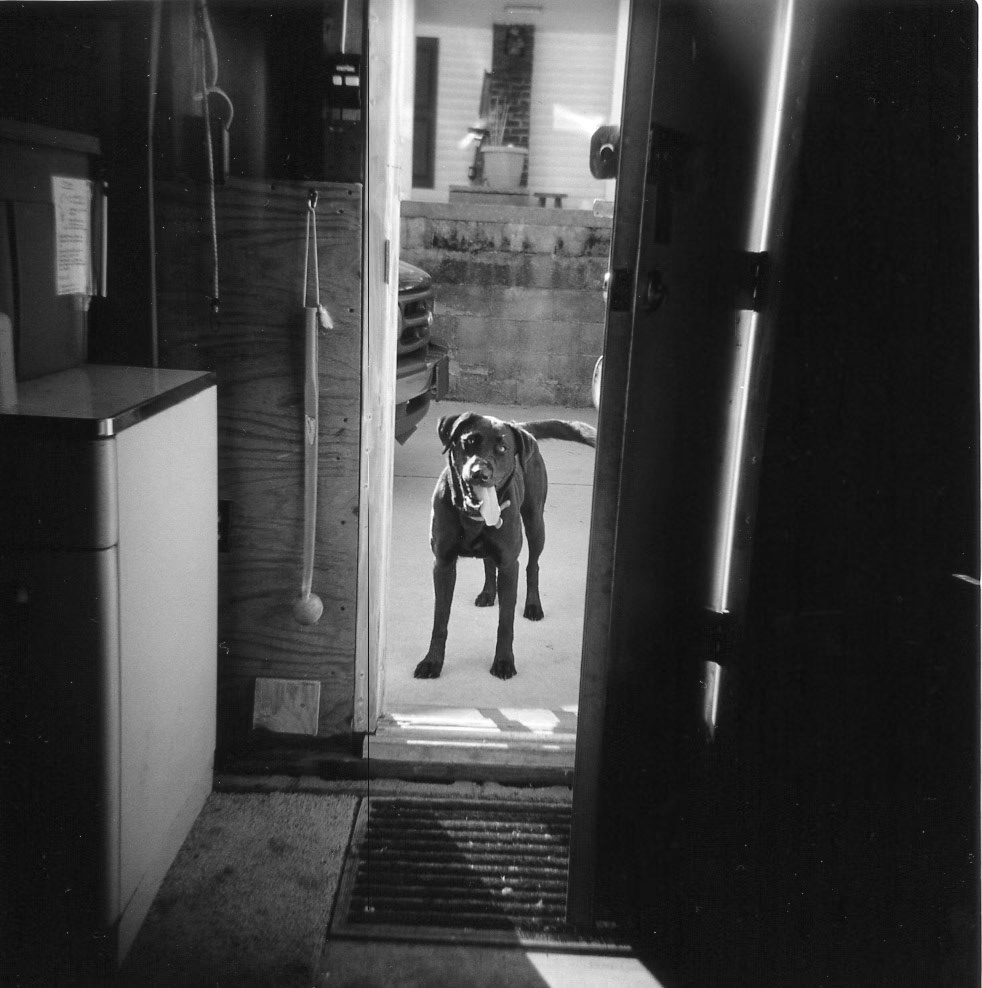 Advent XIII Jessamine  County, Kentucky USA