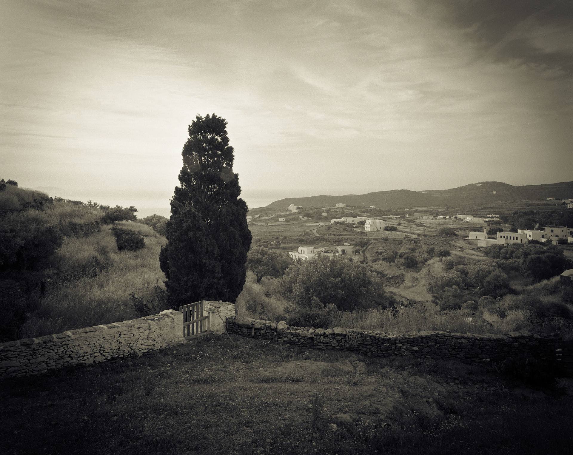 Cedar and Gate with View of Kato Petali Village.