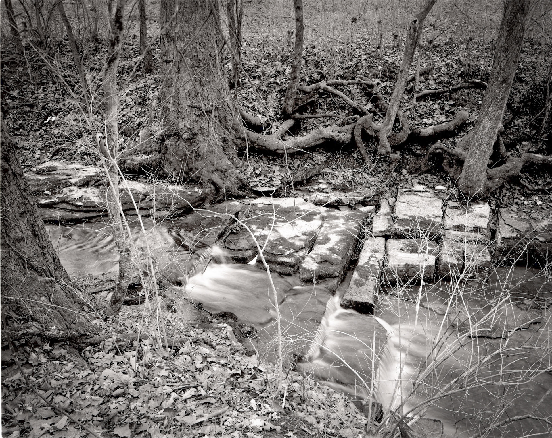 Creek with Stair Steps on Farm Land