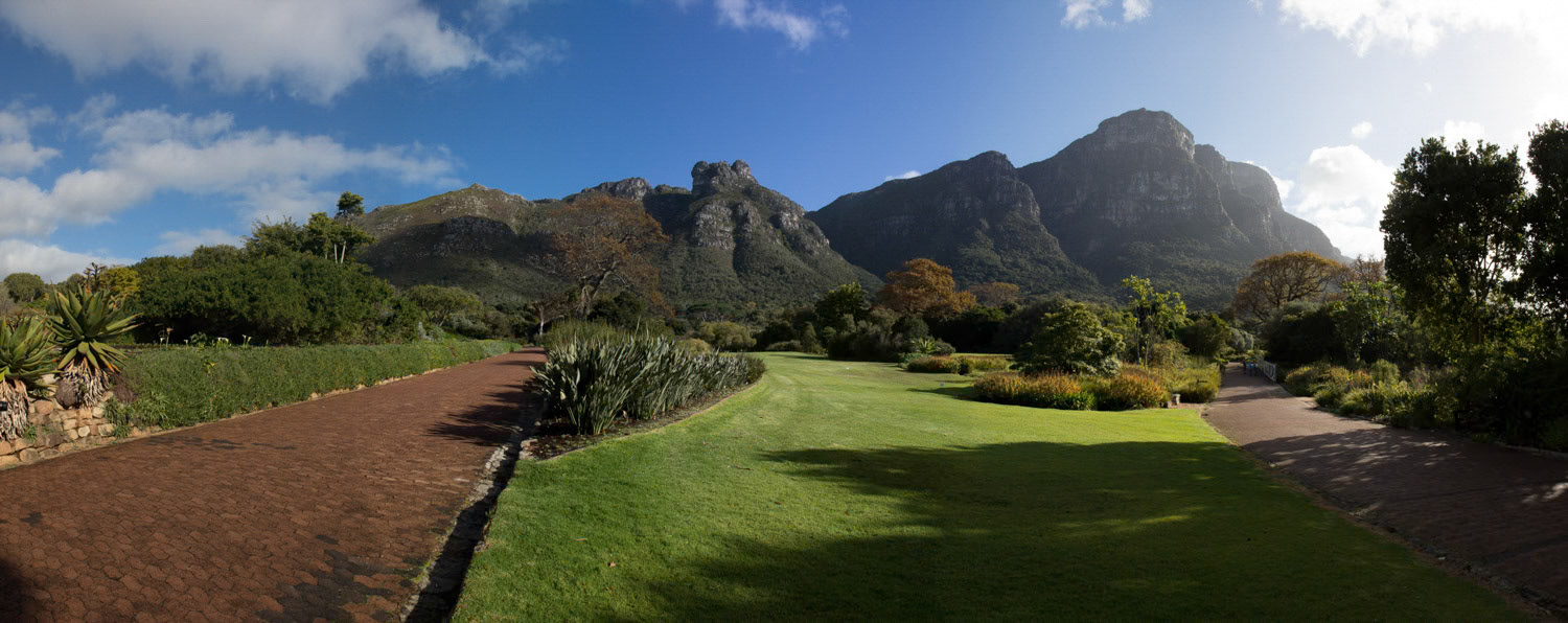 Kirstenbosch National Botanical Garden. Cape Town.