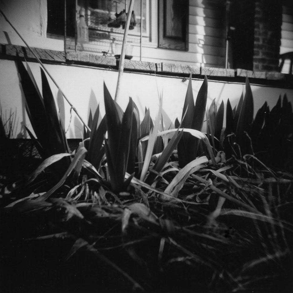 Advent VI Jessamine  County, Kentucky, USA