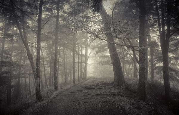 Mountain trail in Okutama. Tokyo, Japan.