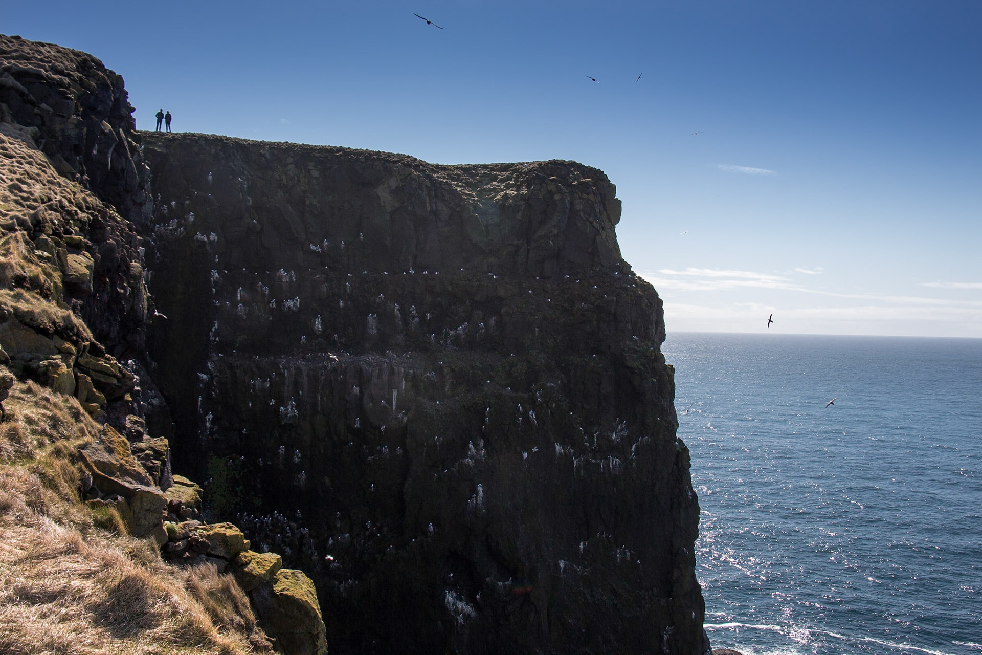 Two Figures. Látrabjarg Cliffs. Iceland 2018