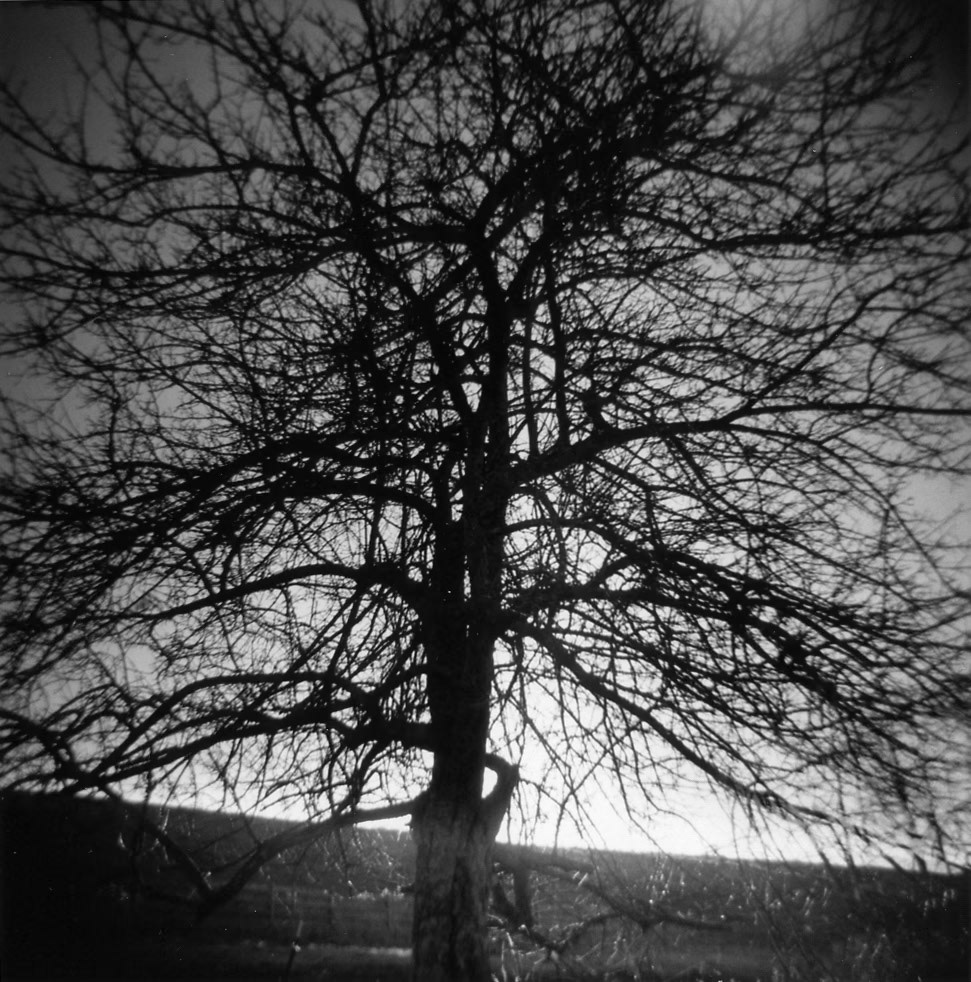 Advent V Augusta County, Virginia, USA