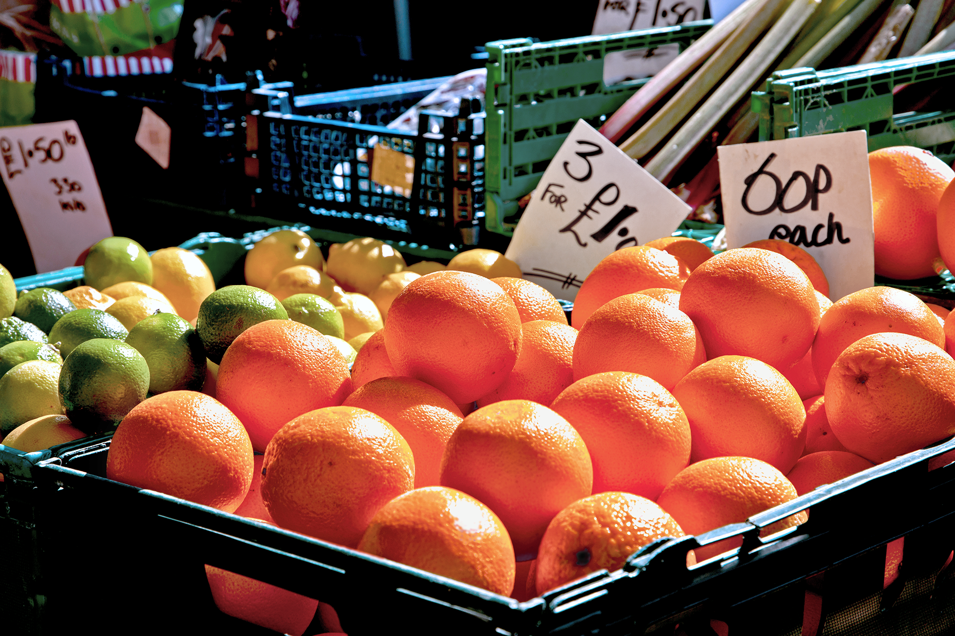 Orange Delight