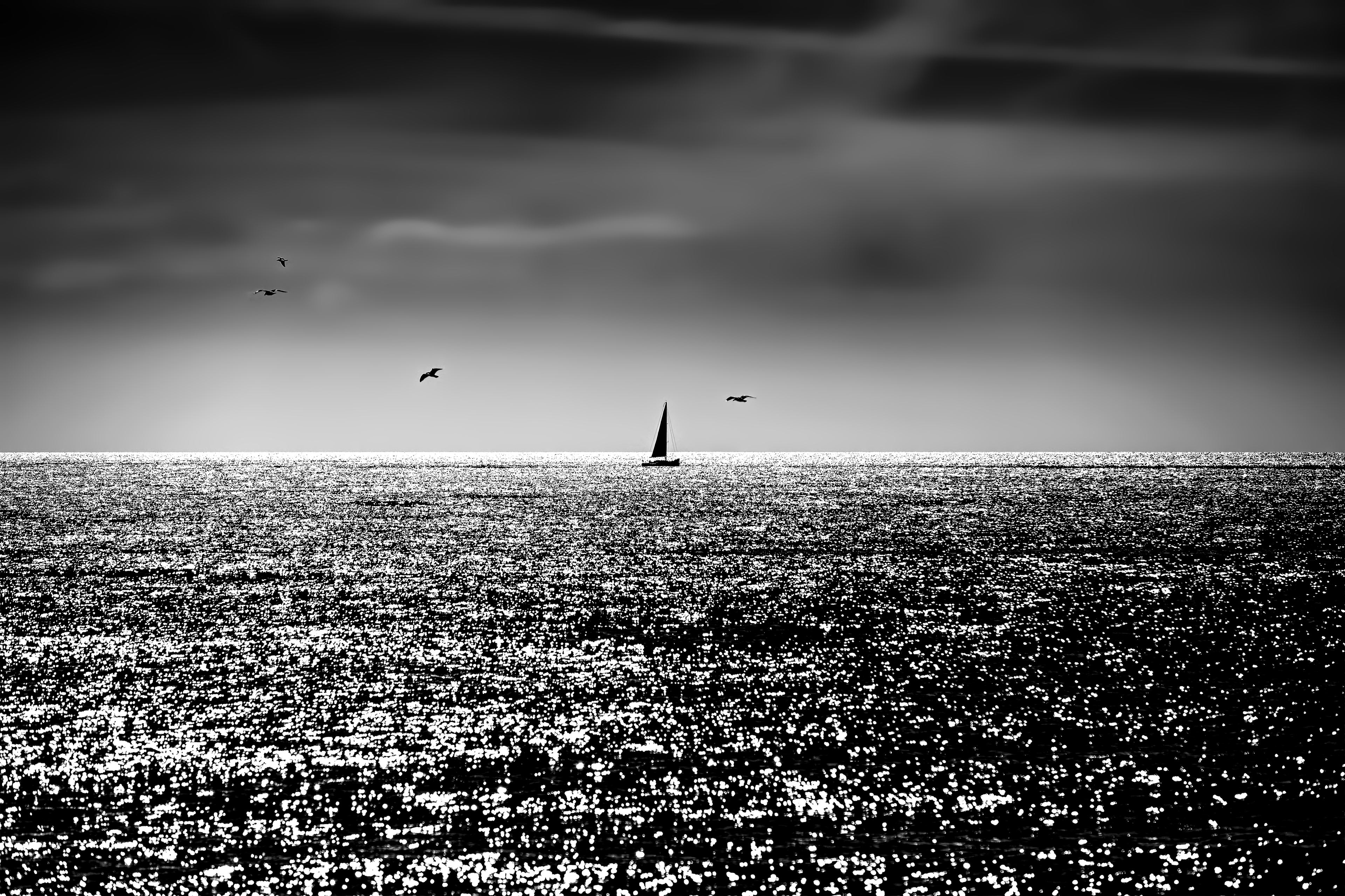 Silver Seas
