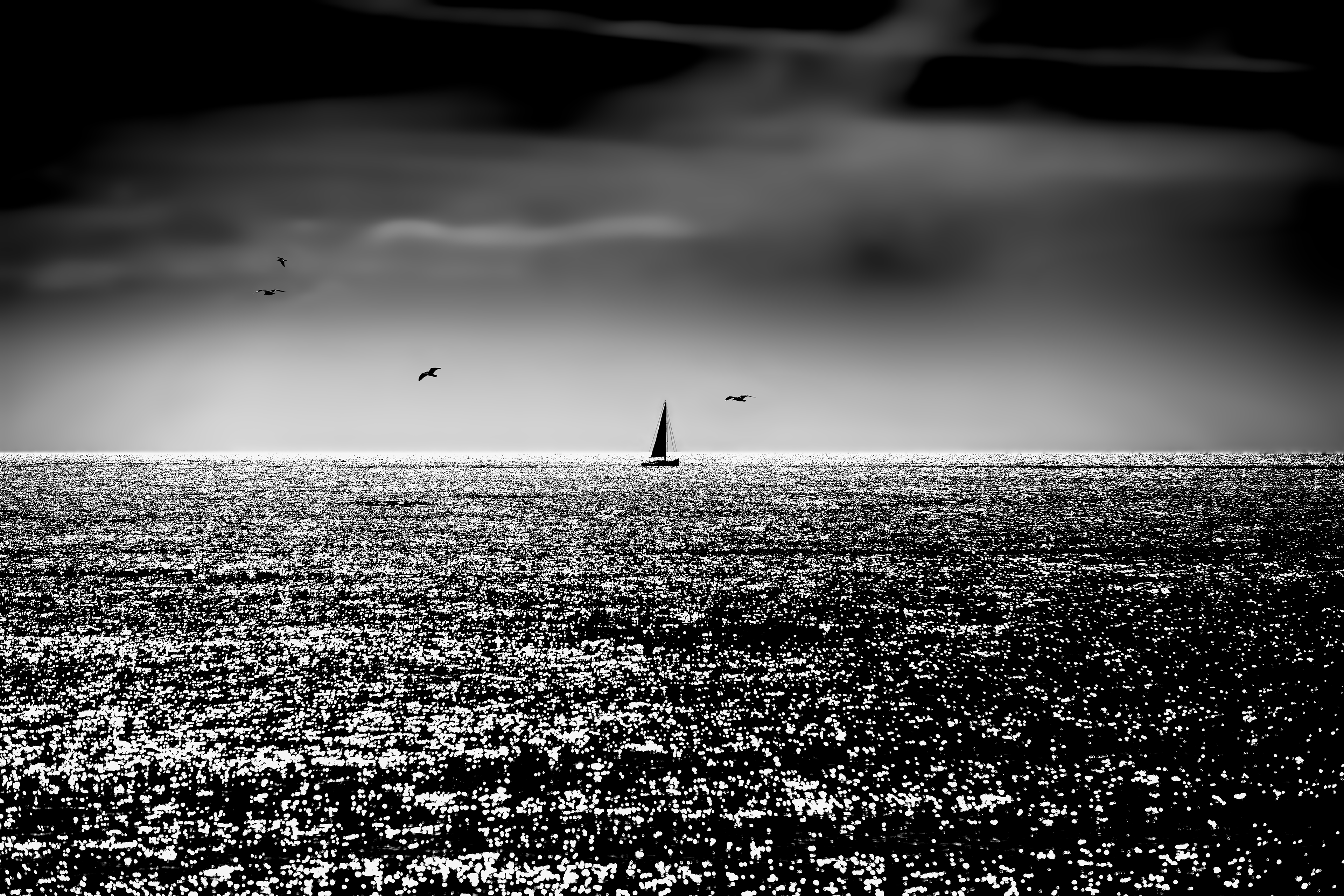 Silver Seas