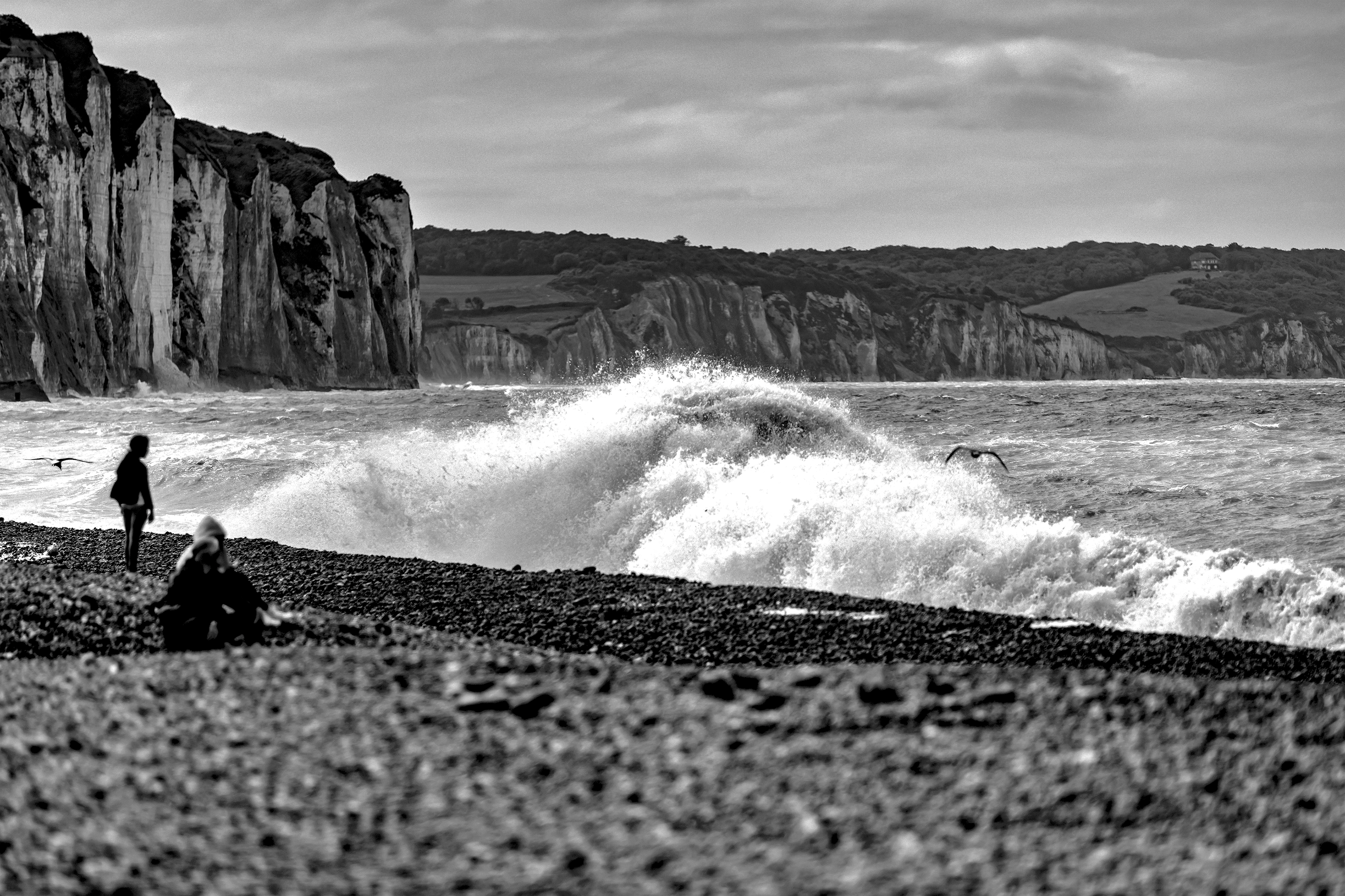 Dieppe Shore