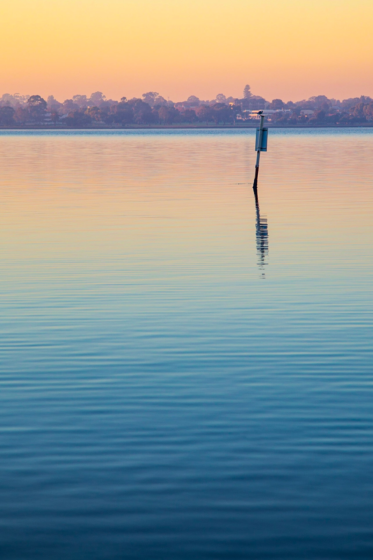Swan River Morning