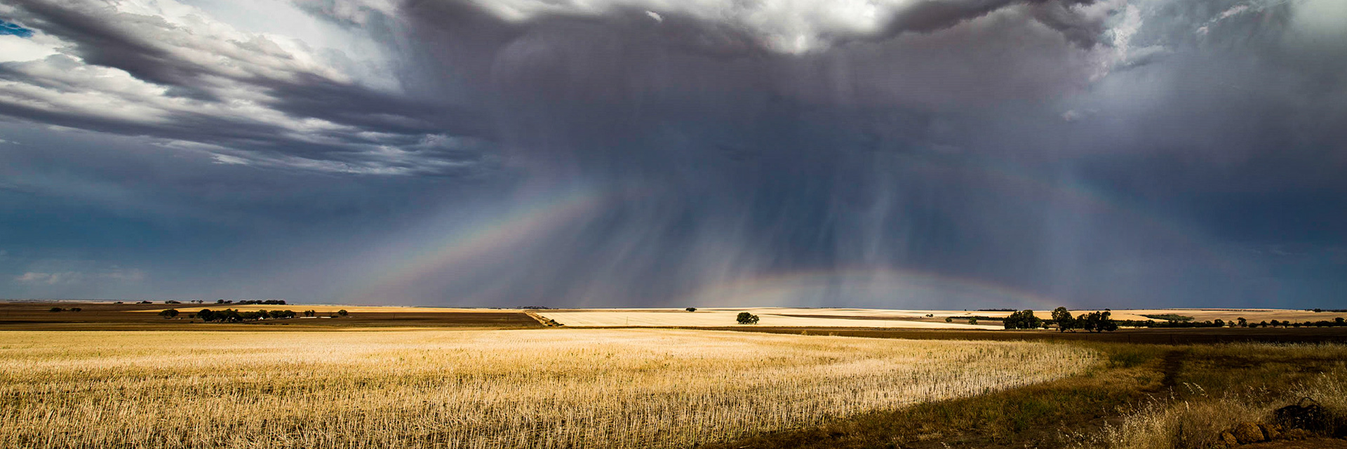 Somewhere Under the Rainbows