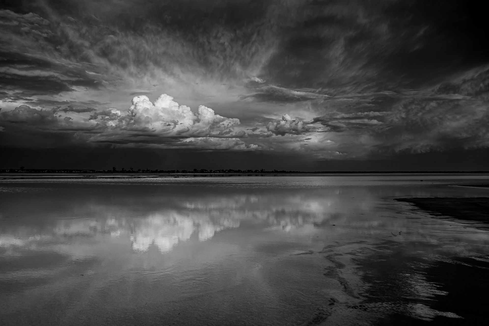 Lake Brown Reflections - B&W