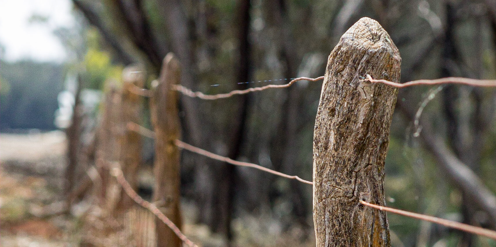 The East Boundary Fence