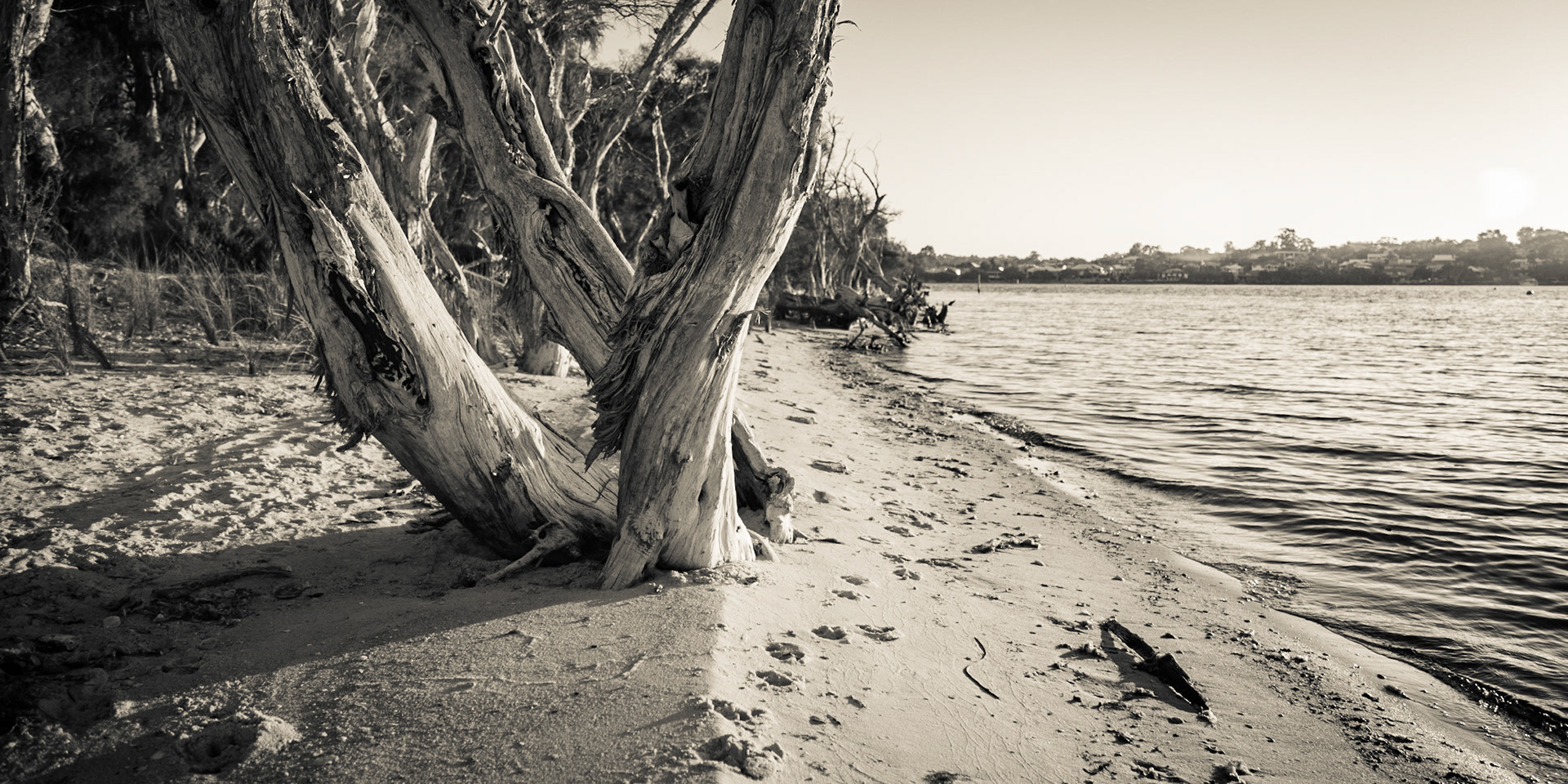 Canning River