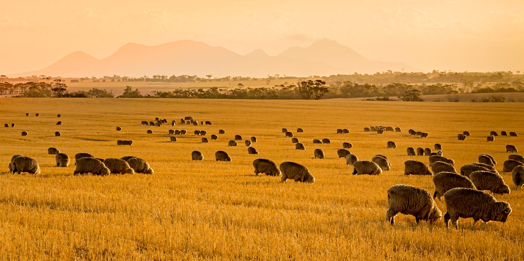Stirling Range