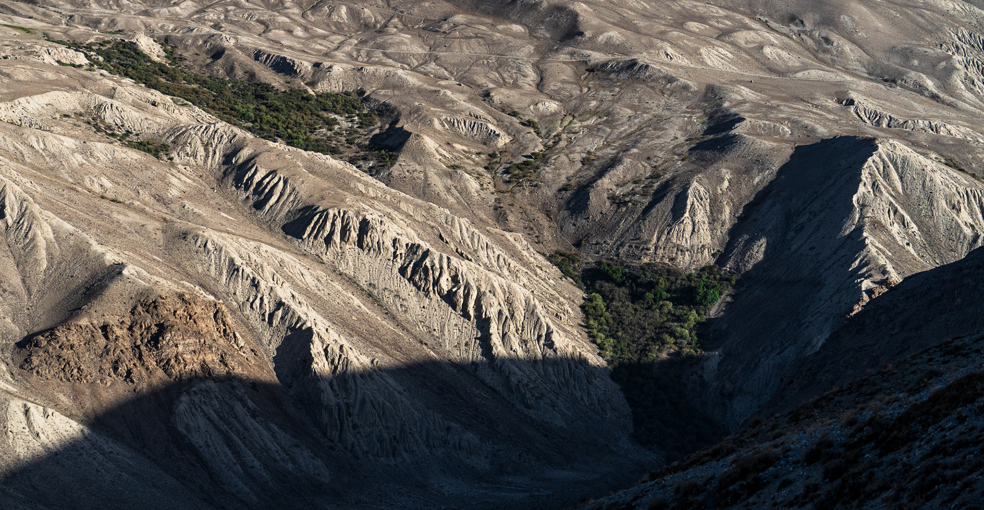 A rugged landscape of grey coloured hills with some patches of green oases.