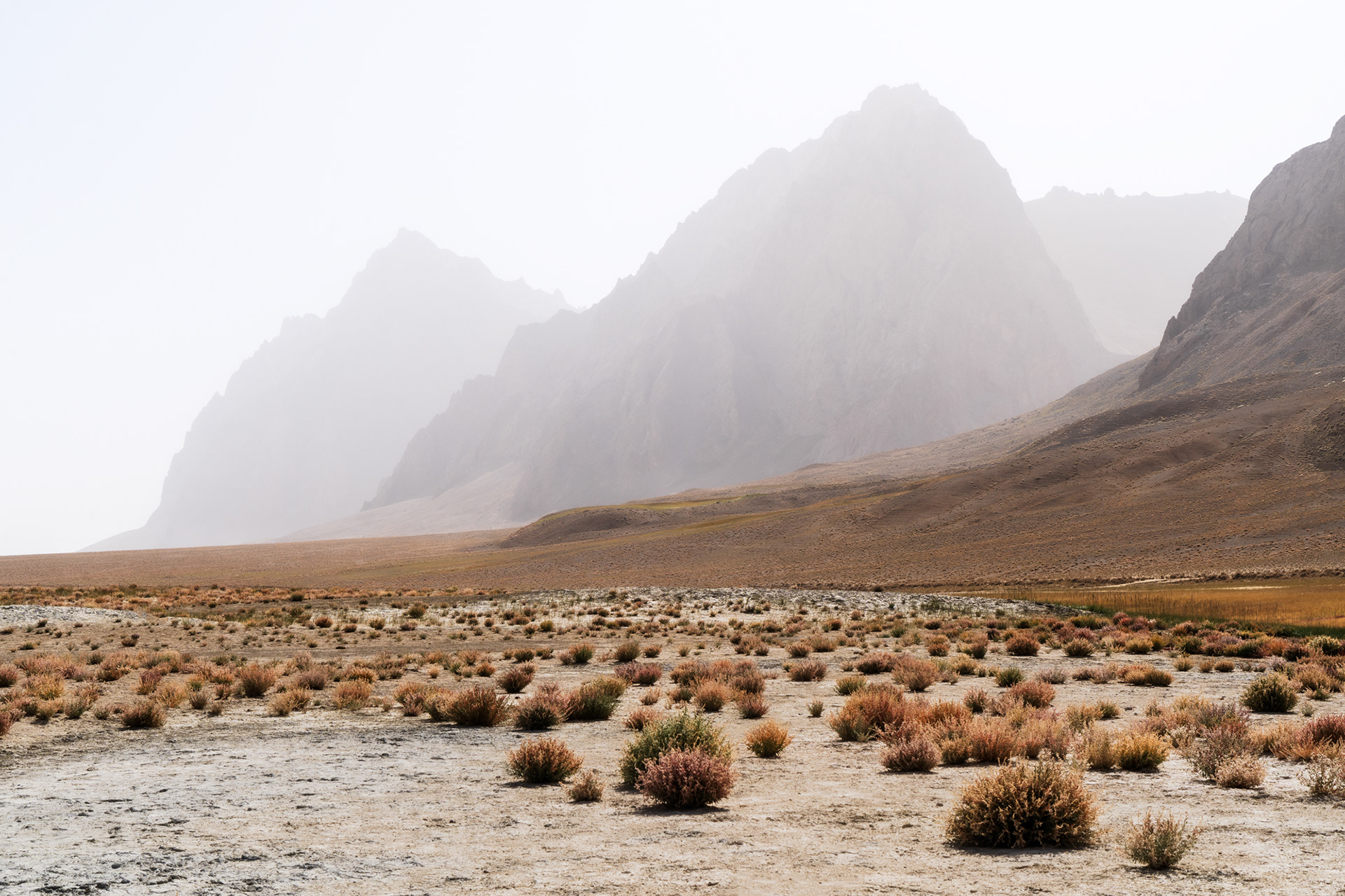 Colourful grasses and salts with jagged peaks in the background of the remote Rangkul plateau, Pamir, Tajikistan.