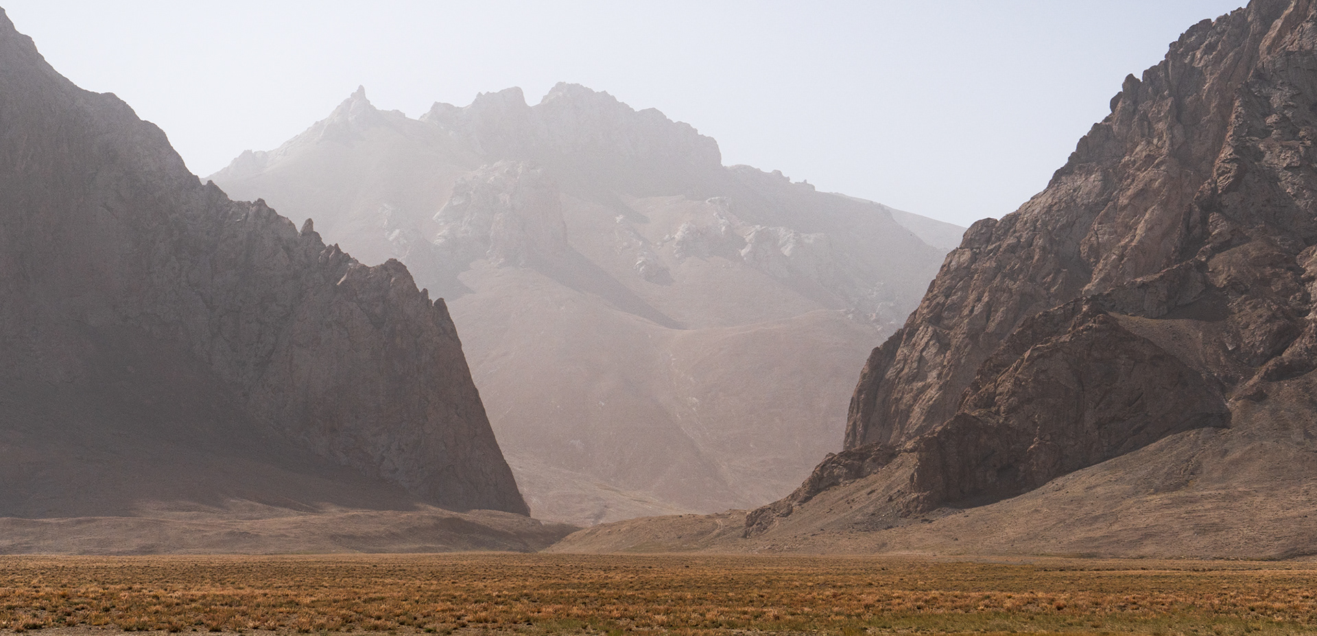 Rugged landscape and colourful grasses of Rangkul, a remote area of the Eastern Pamir in Tajikistan.