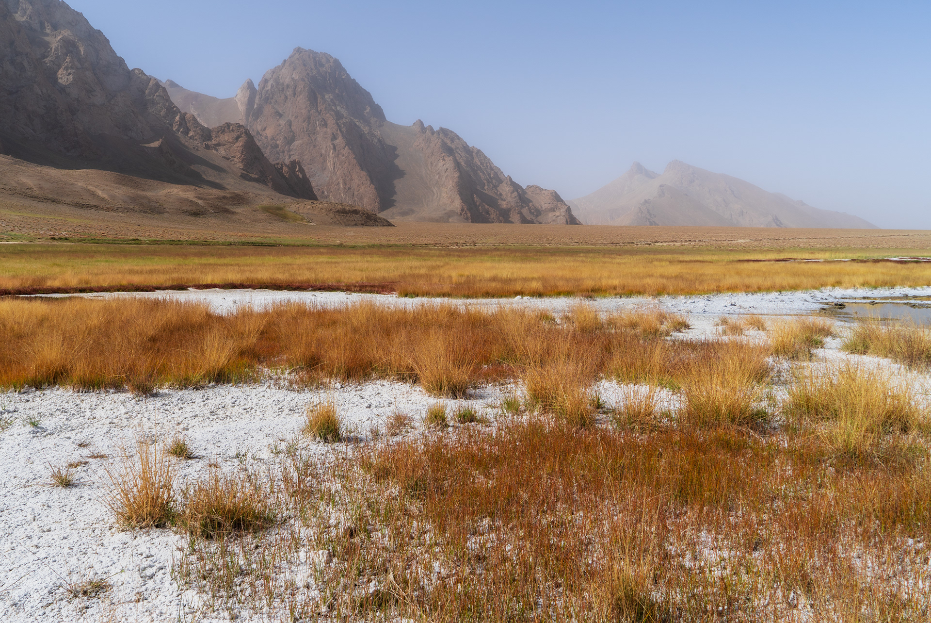 Colourful grasses and salts with jagged peaks in the background of the remote Rangkul plateau, Pamir, Tajikistan.