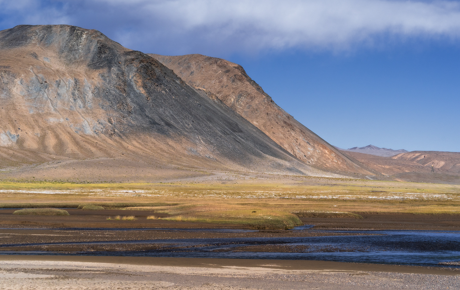 Colourful grasses and mountains in Pamir on a sunny day, in Tajik Pamir.