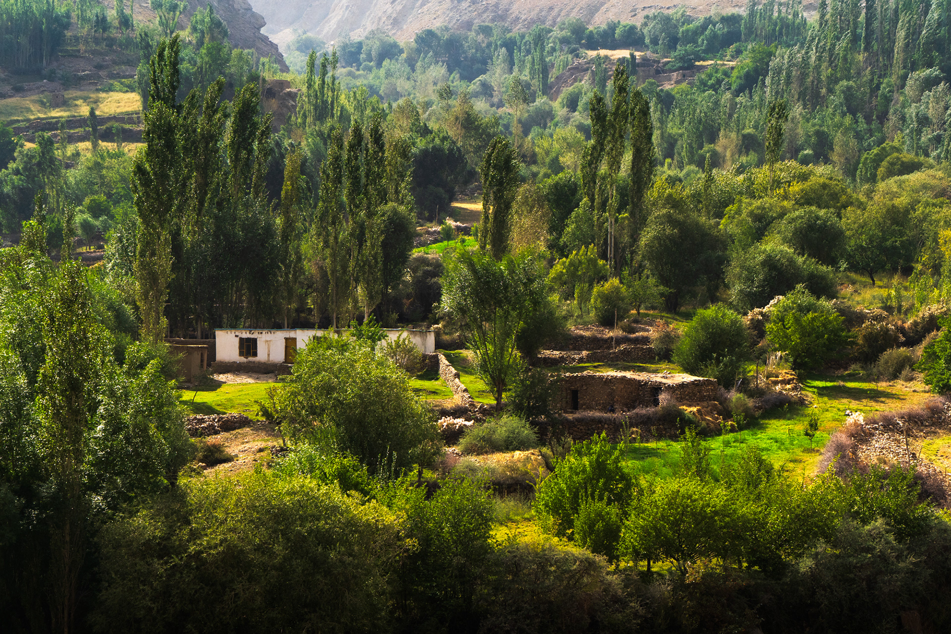 A lush village in Afghanistan with some stone huts.
