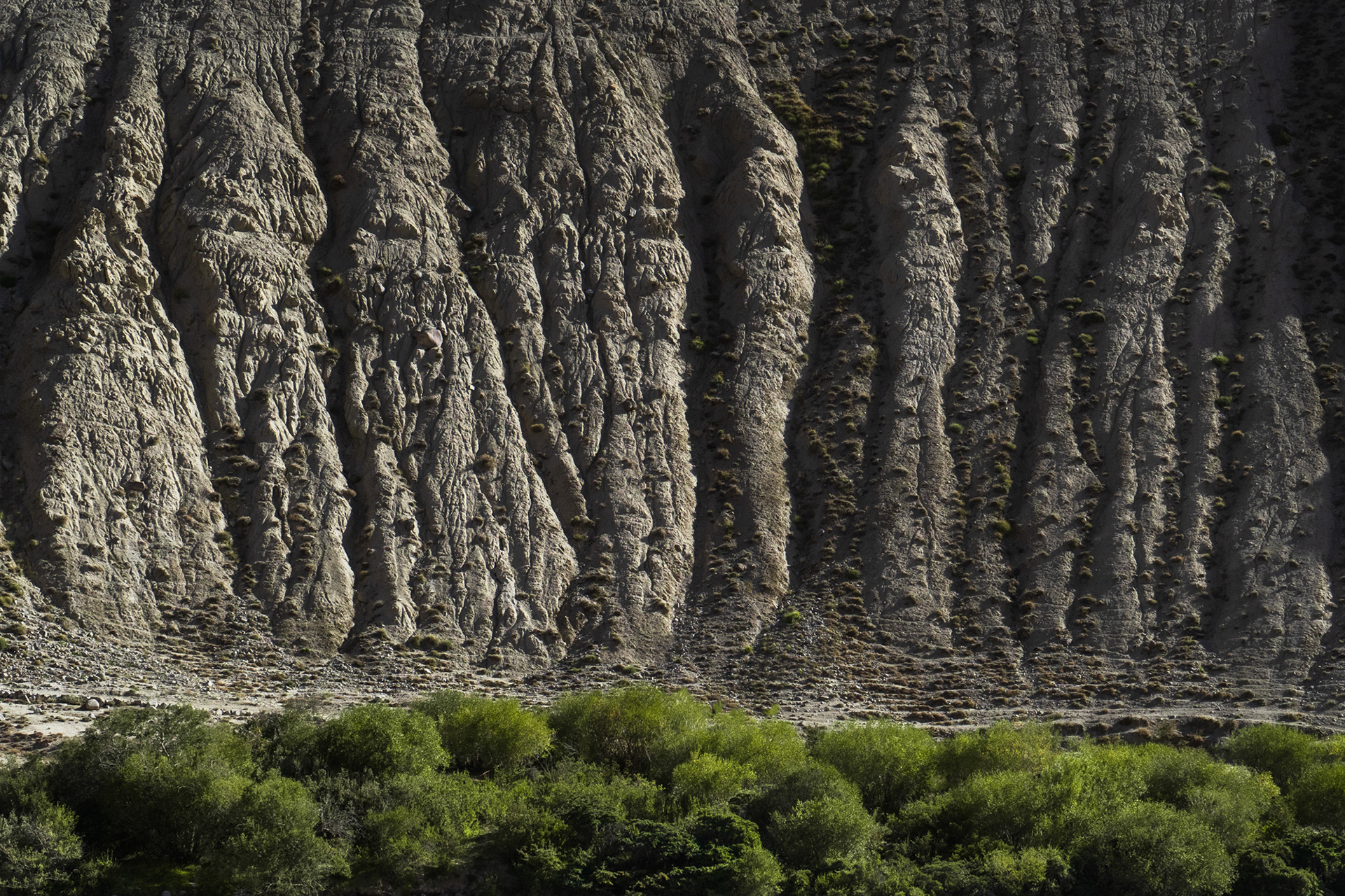Highly textured muddy hills.
