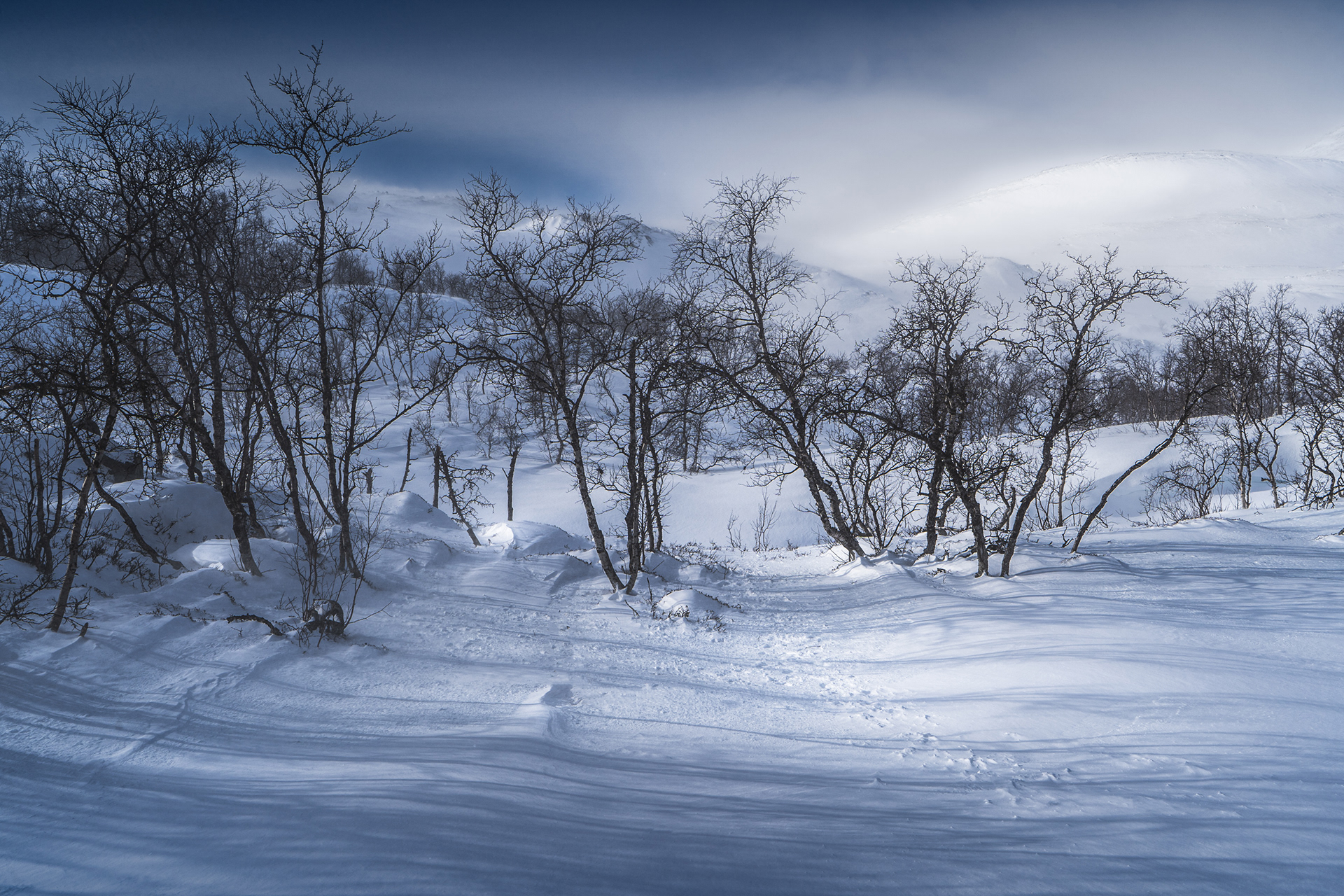 A snowy mountain catching the arctic sun rises above a glade. Swedish Arctic, Lapland, winter landscape.