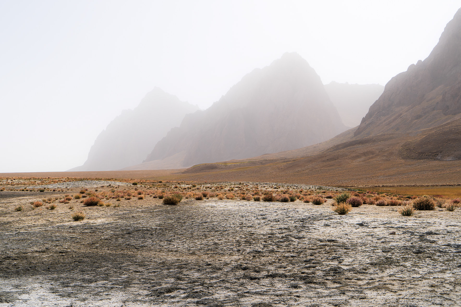 Colourful grasses and salts with jagged peaks in the background of the remote Rangkul plateau, Pamir, Tajikistan.