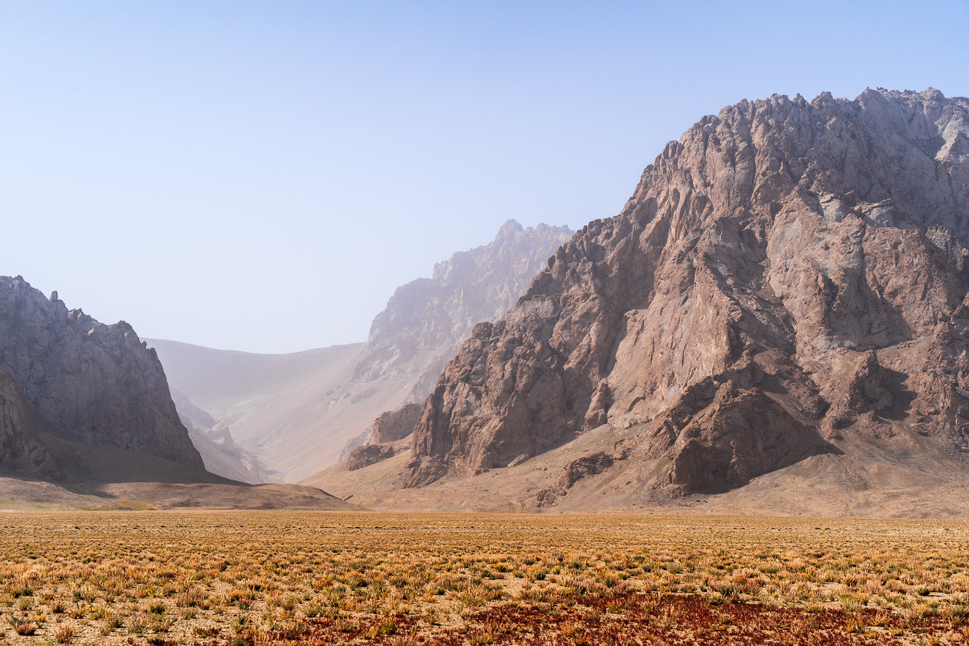 Rugged landscape and colourful grasses of Rangkul, a remote area of the Eastern Pamir in Tajikistan.