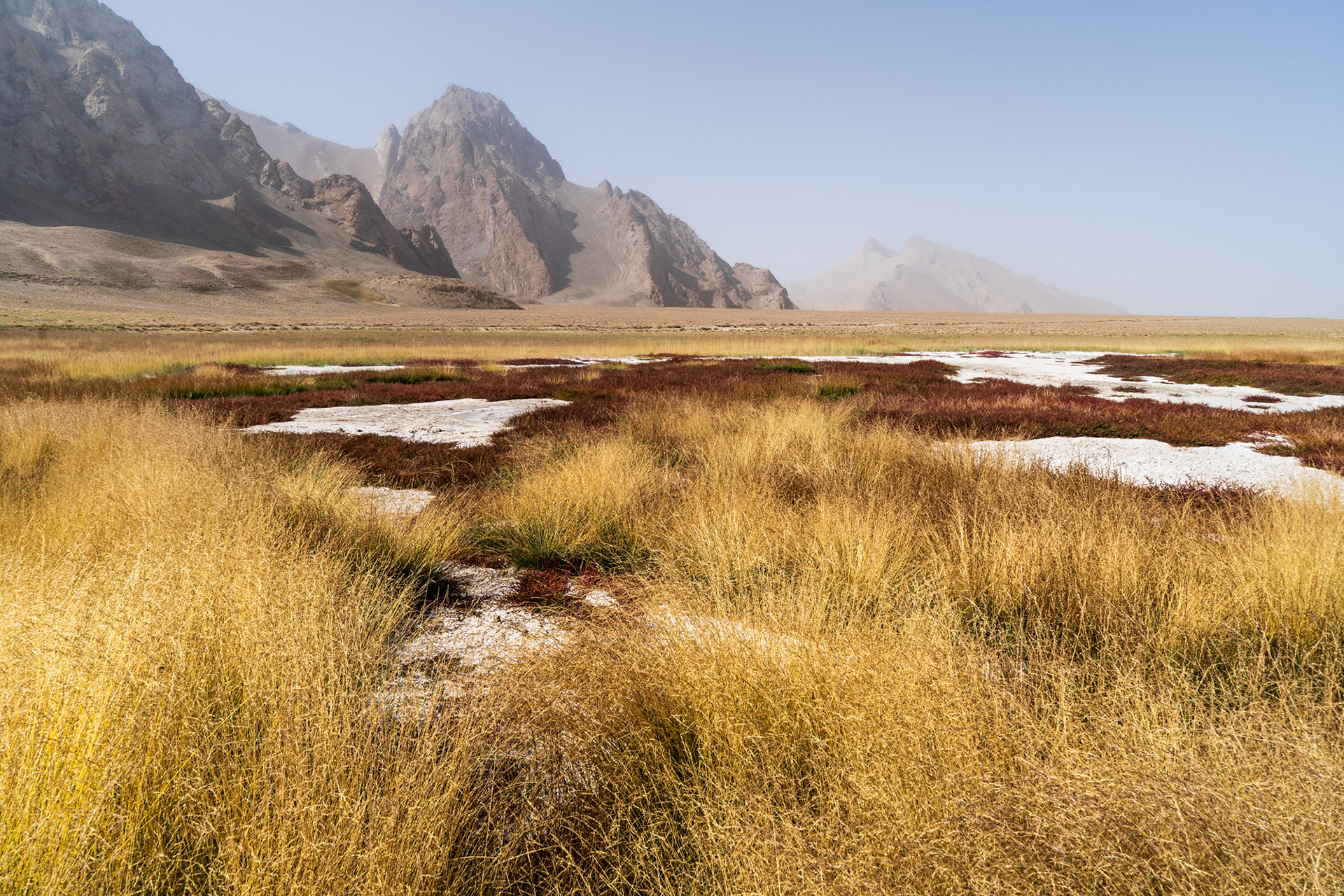 Colourful grasses and salts with jagged peaks in the background of the remote Rangkul plateau, Pamir, Tajikistan.
