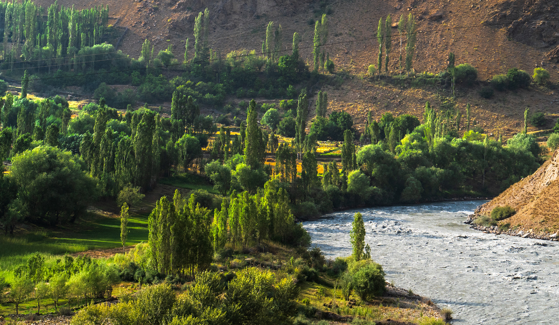 Tall, lush skinny trees rise above the Panj River in Afghanistan.