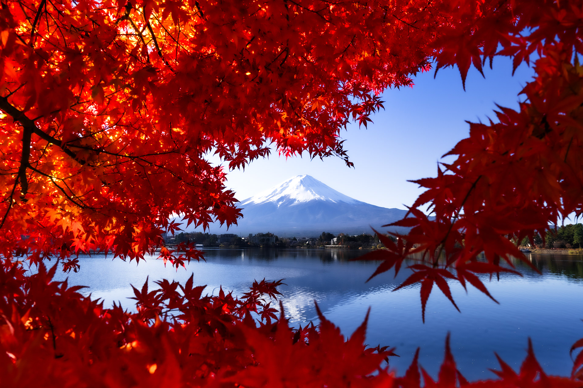 Mt Fuji, Arashiyma