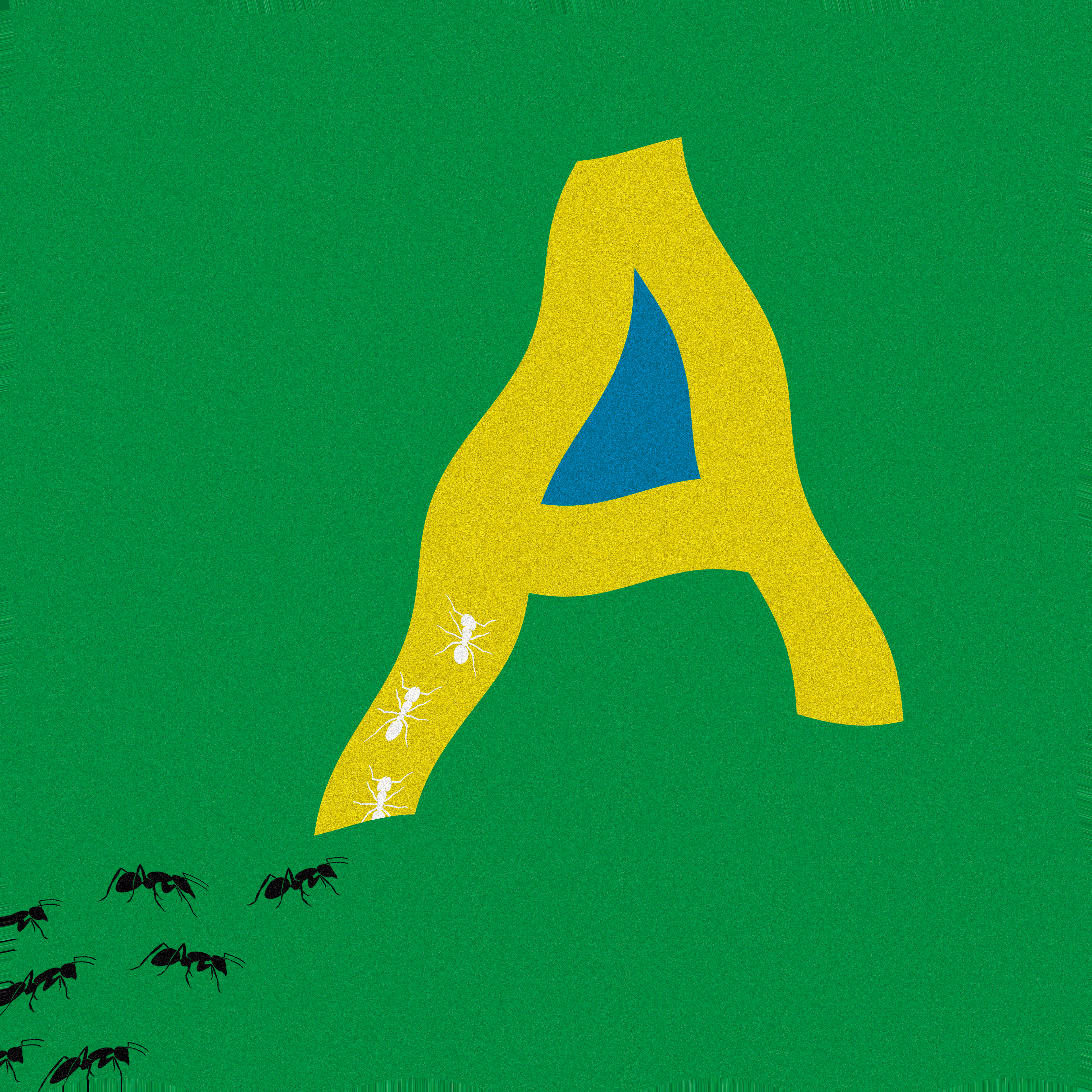 tamanho do A bandeira