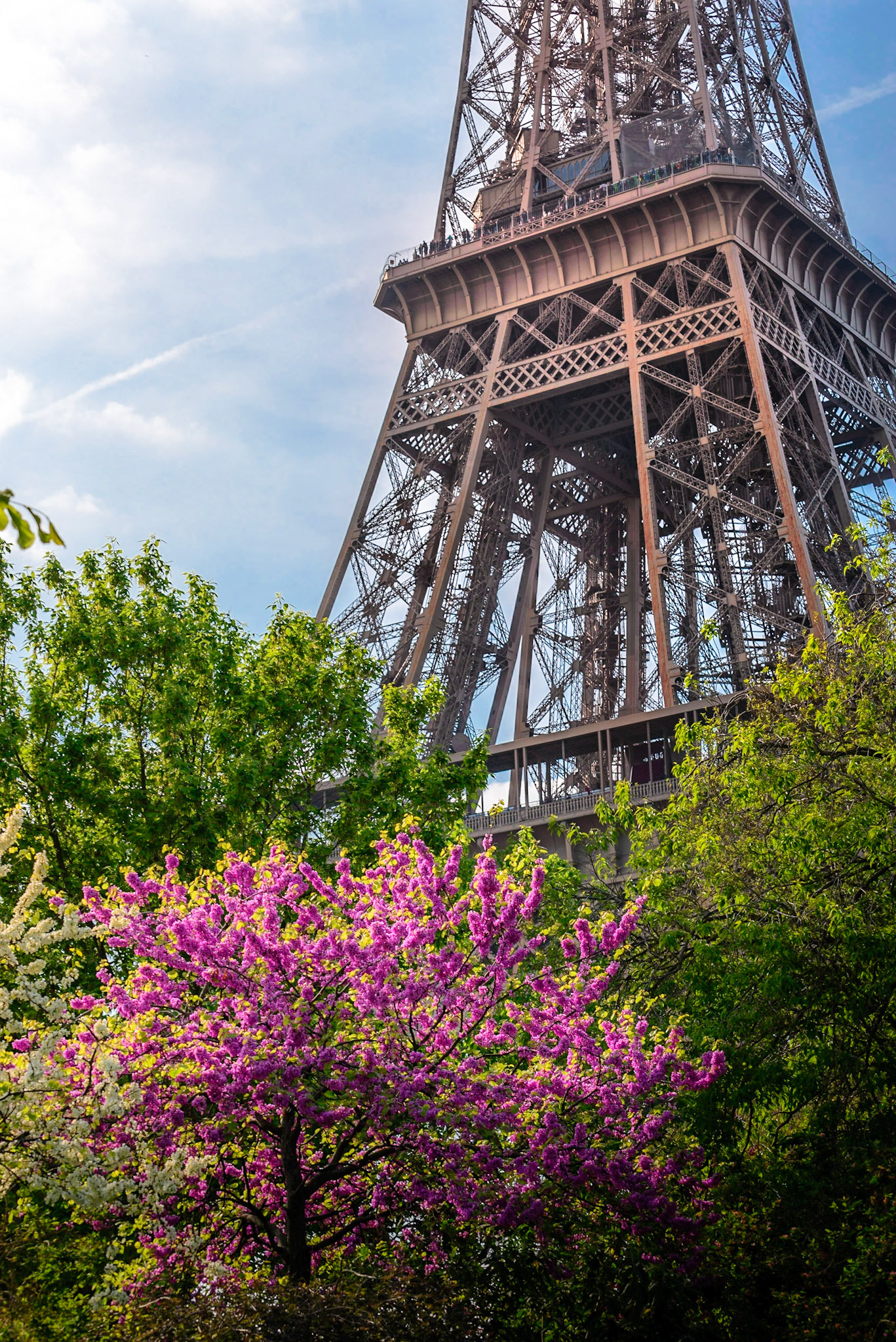 Torre Eiffel 01