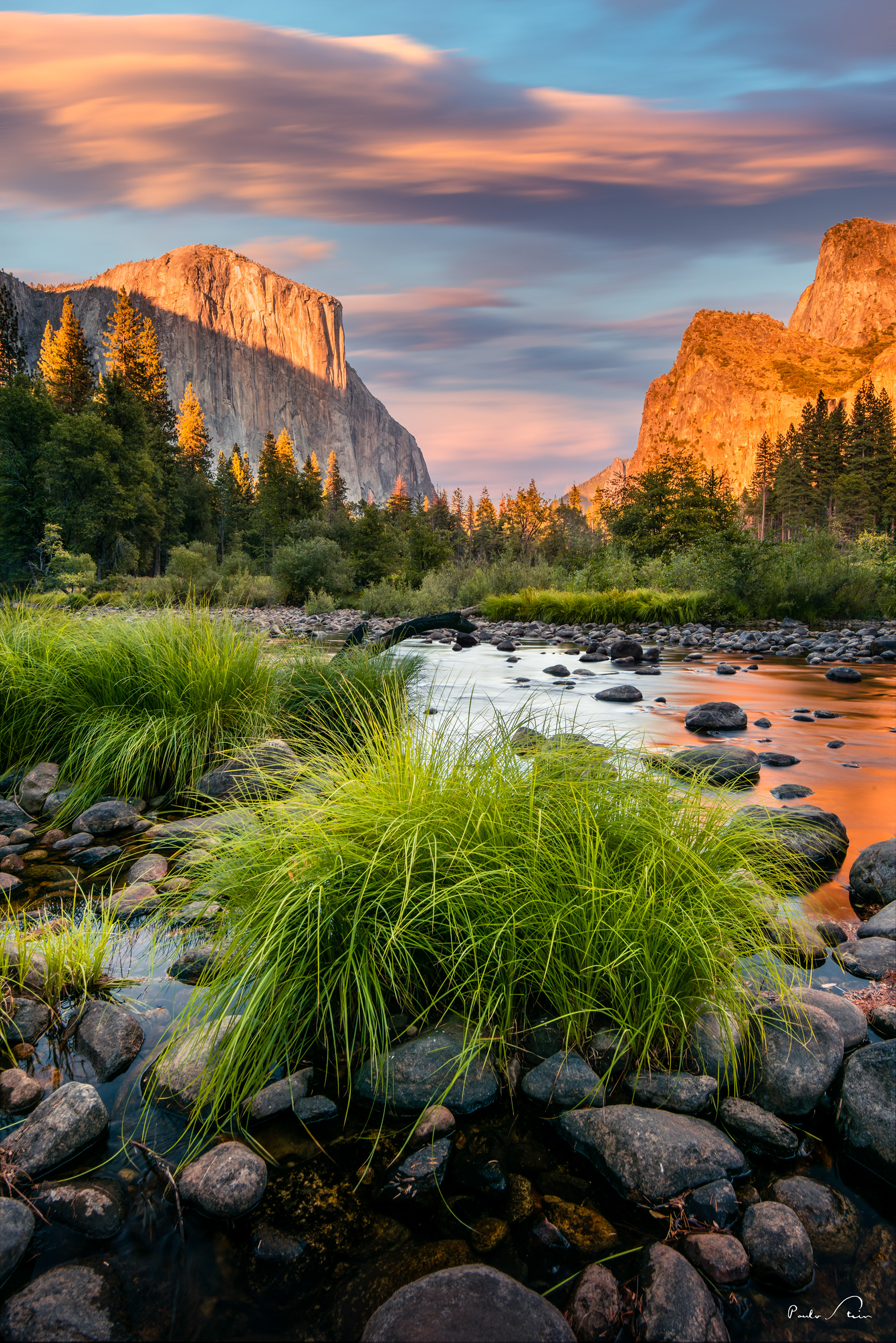 Valley Floor - Yosemite