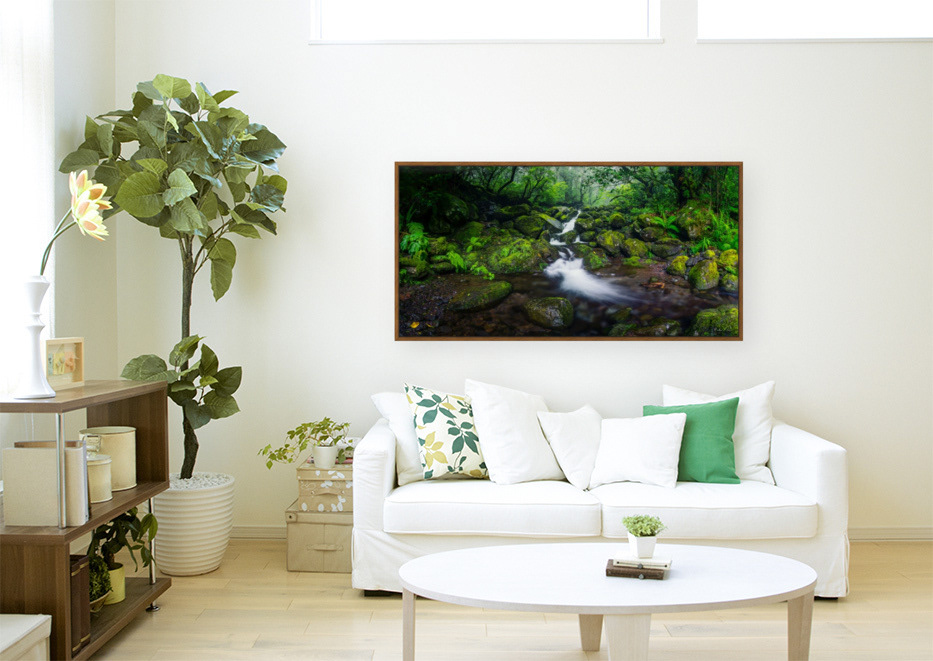 Exemplo de Quadro - Laurissilva - Ilha da Madeira - Portugal
