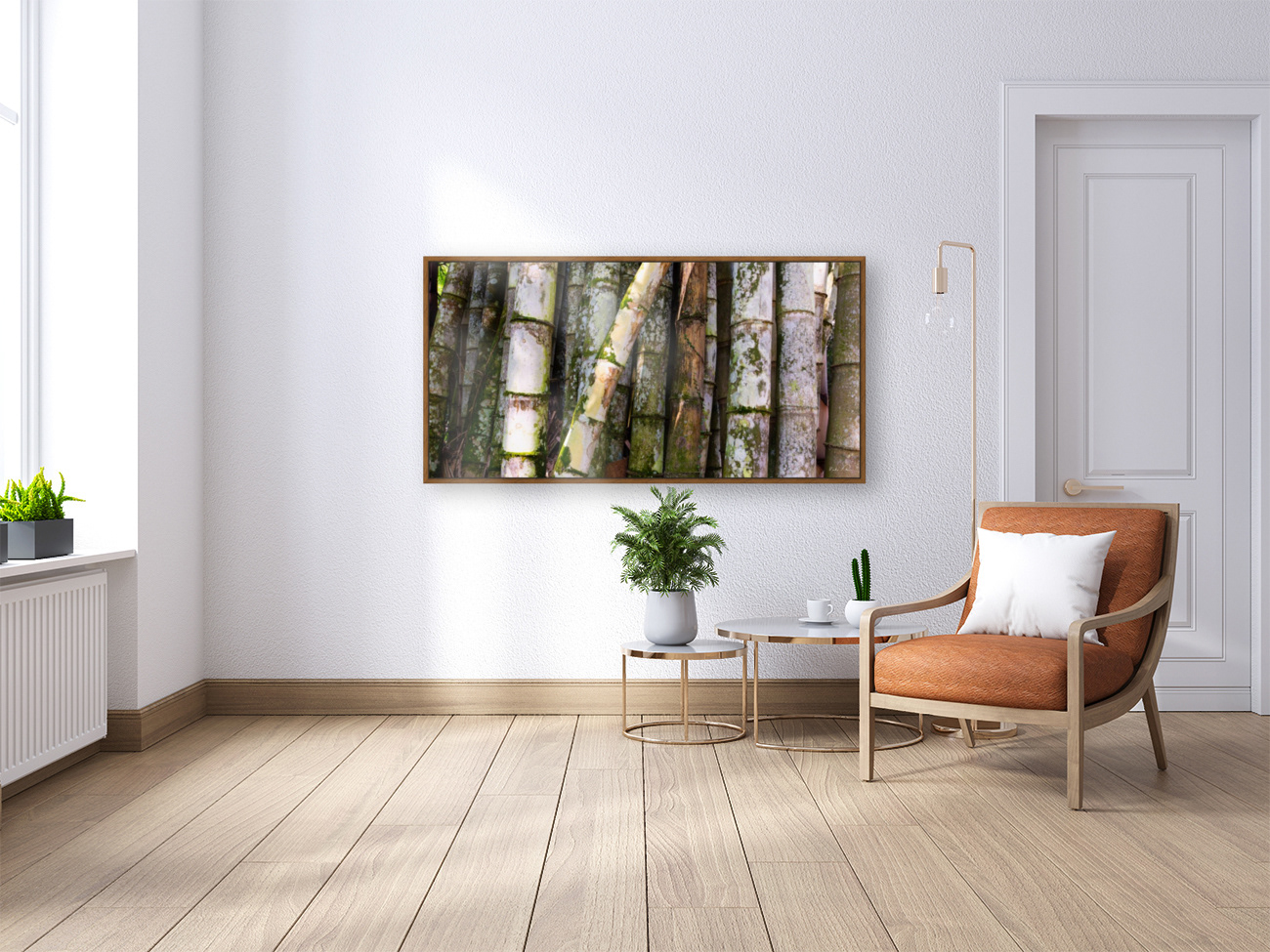 Bamboo