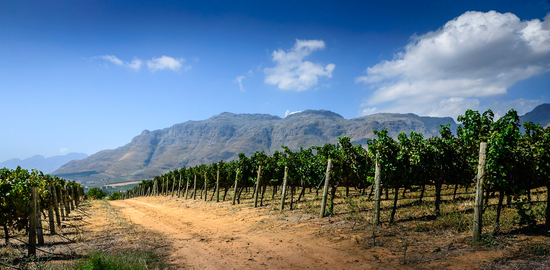 Stellenbosch 03