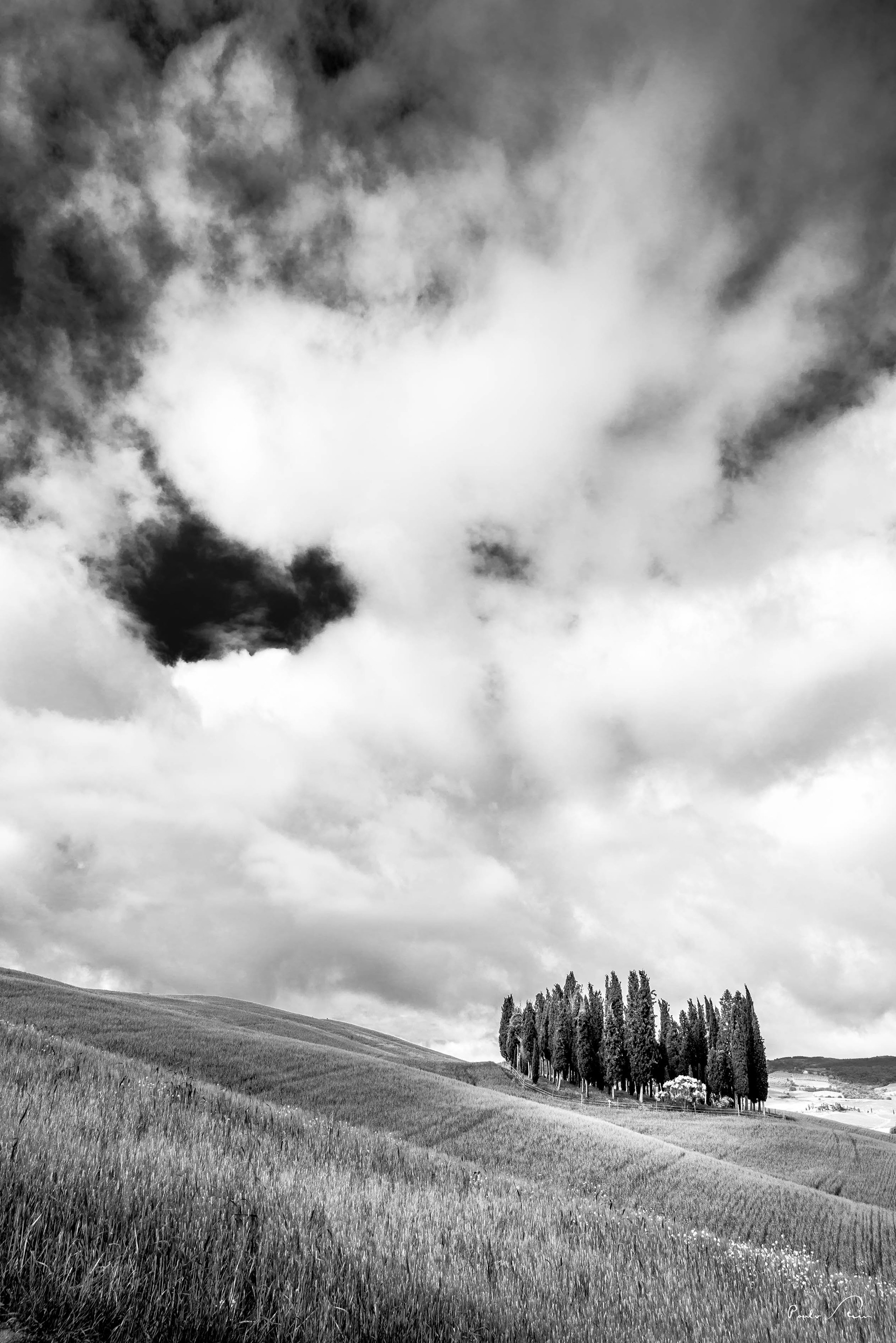 Cenas da Toscana 5
