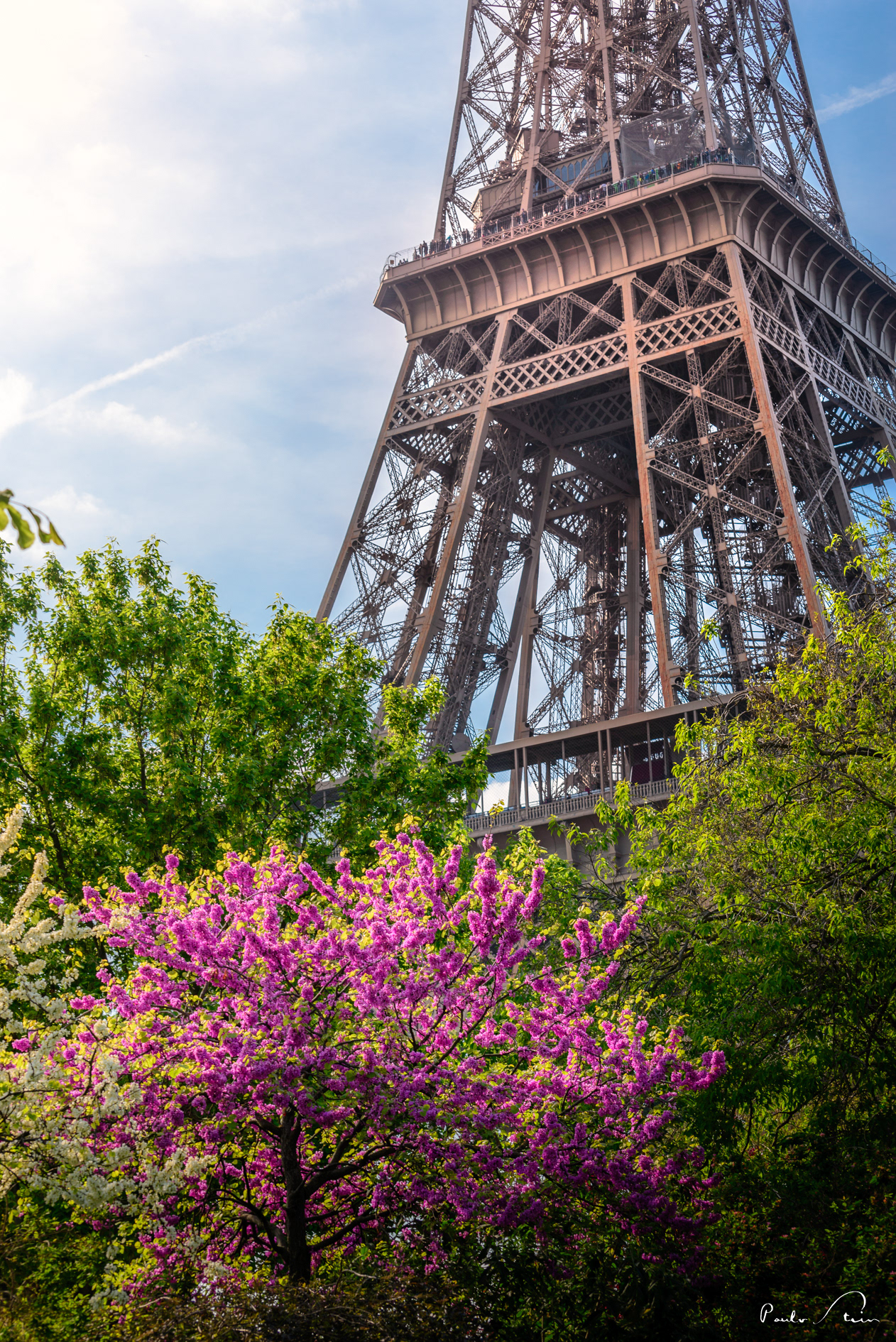 Torre Eiffel I - Paris