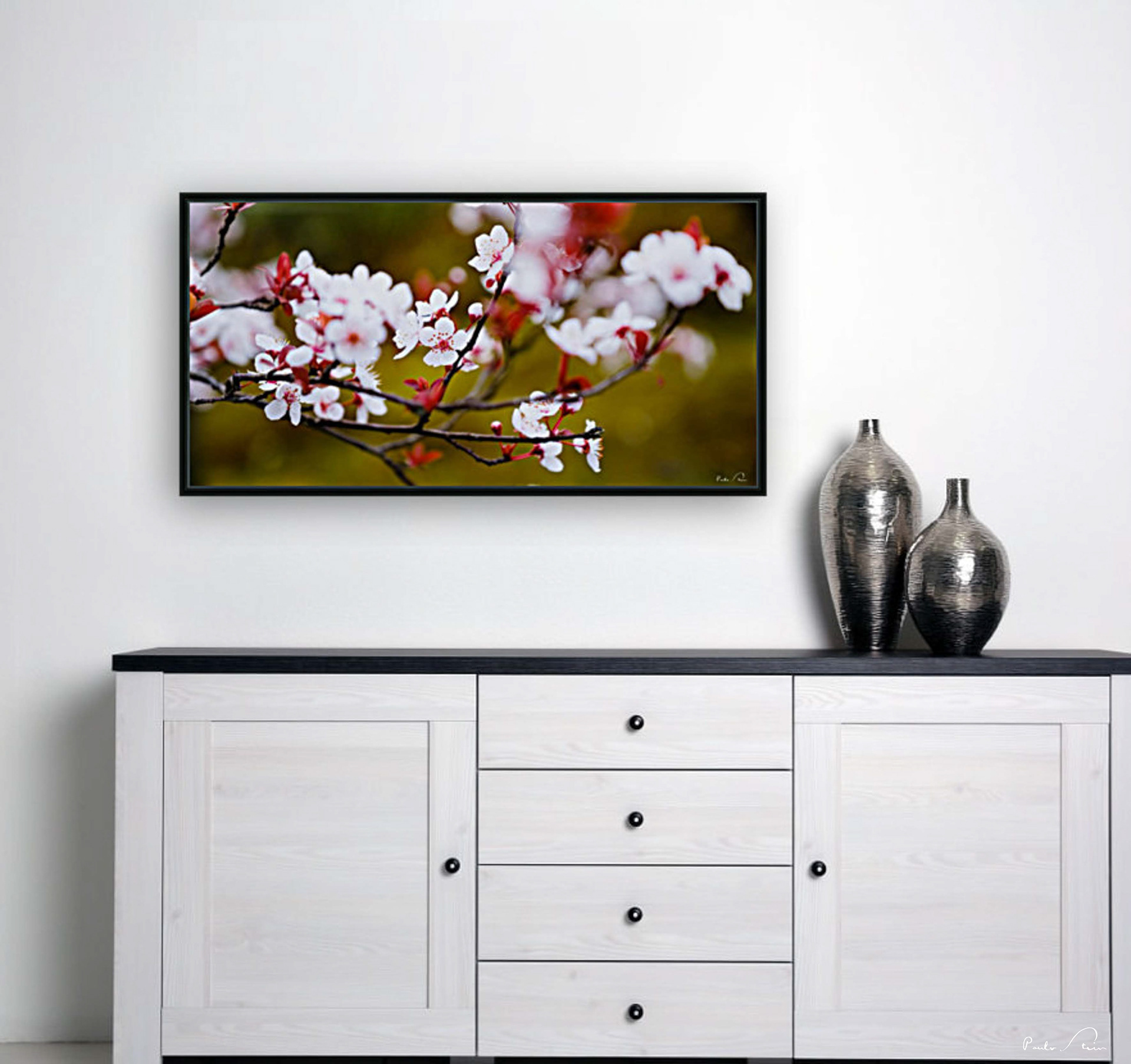 Flores da Cerejeira - 3