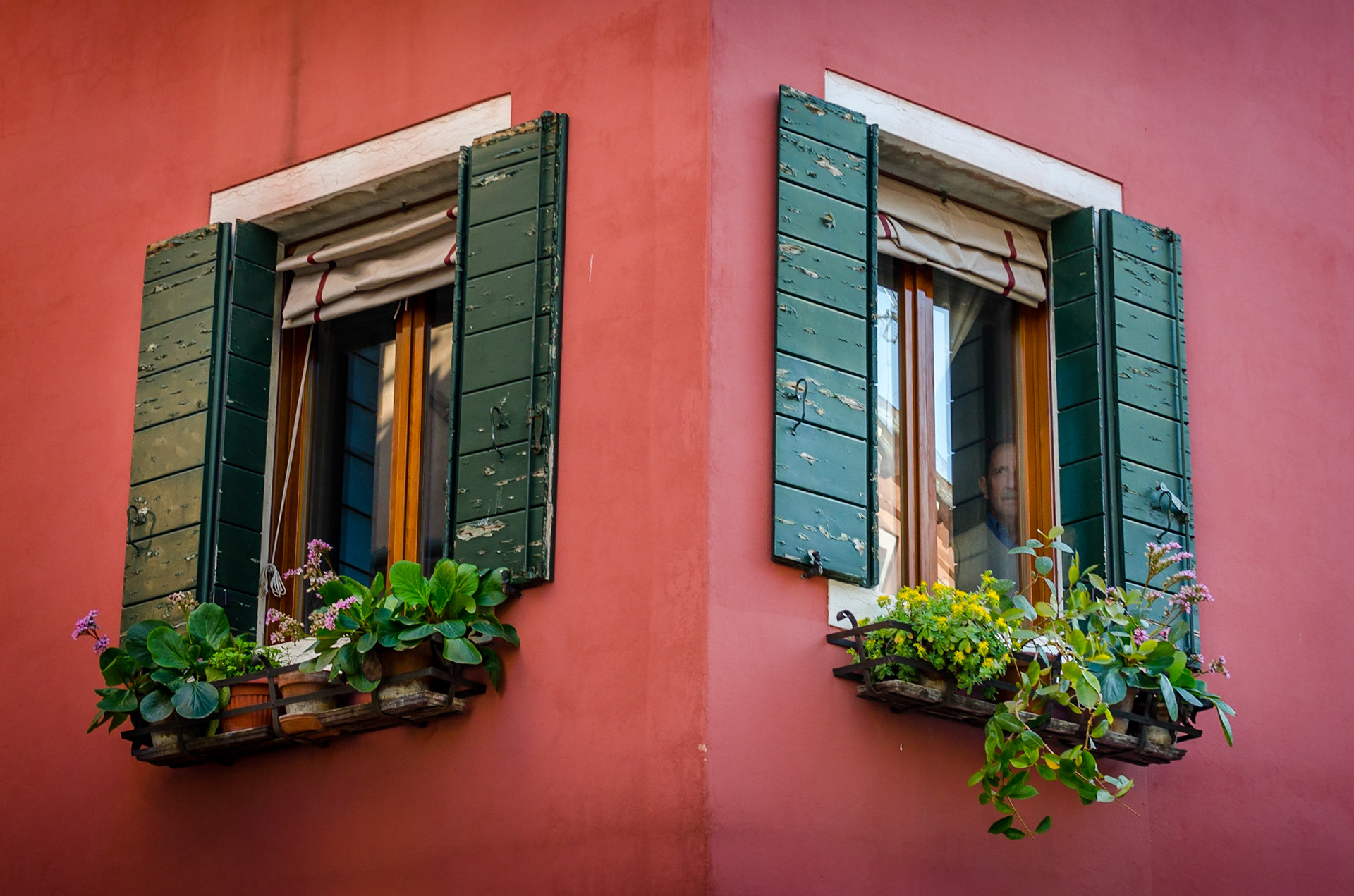 Janelas 01
