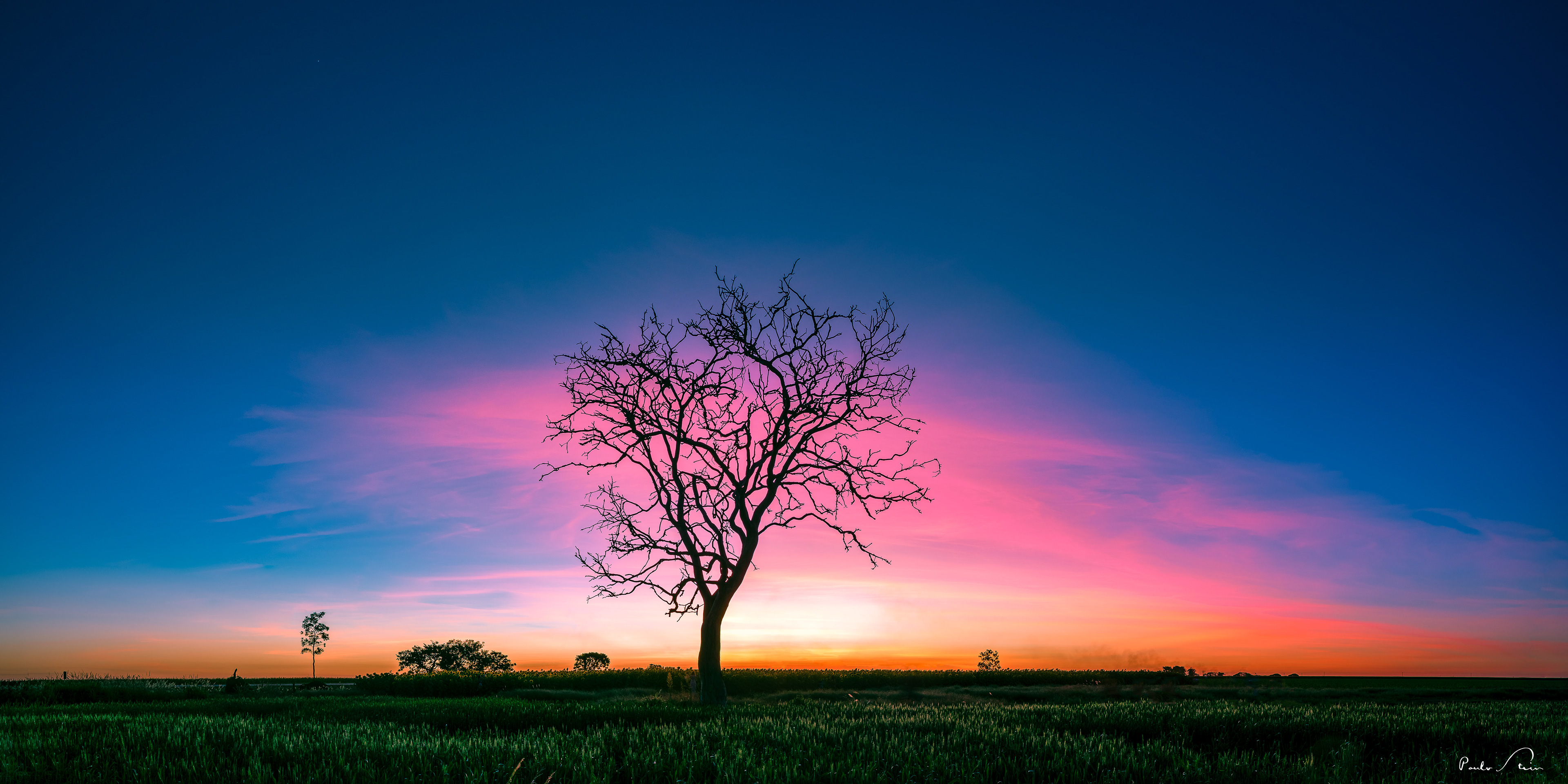 Beleza Sublime - Panorama