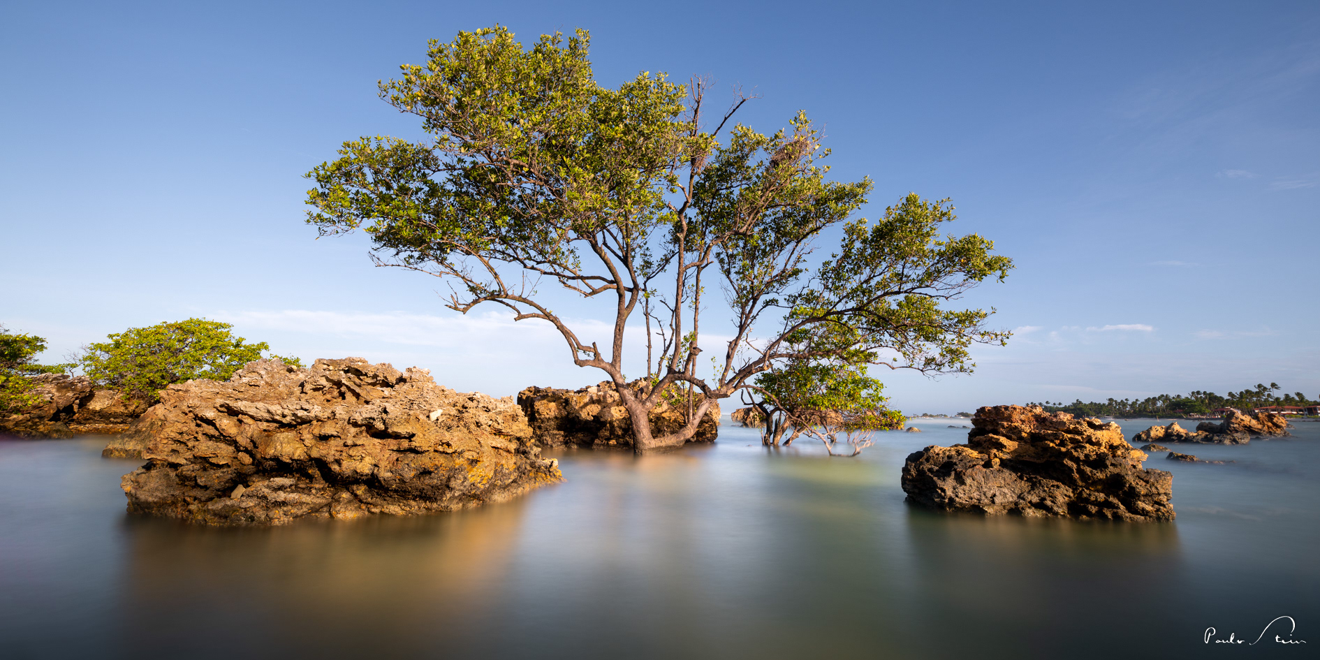 Mangue - Morro de São Paulo
