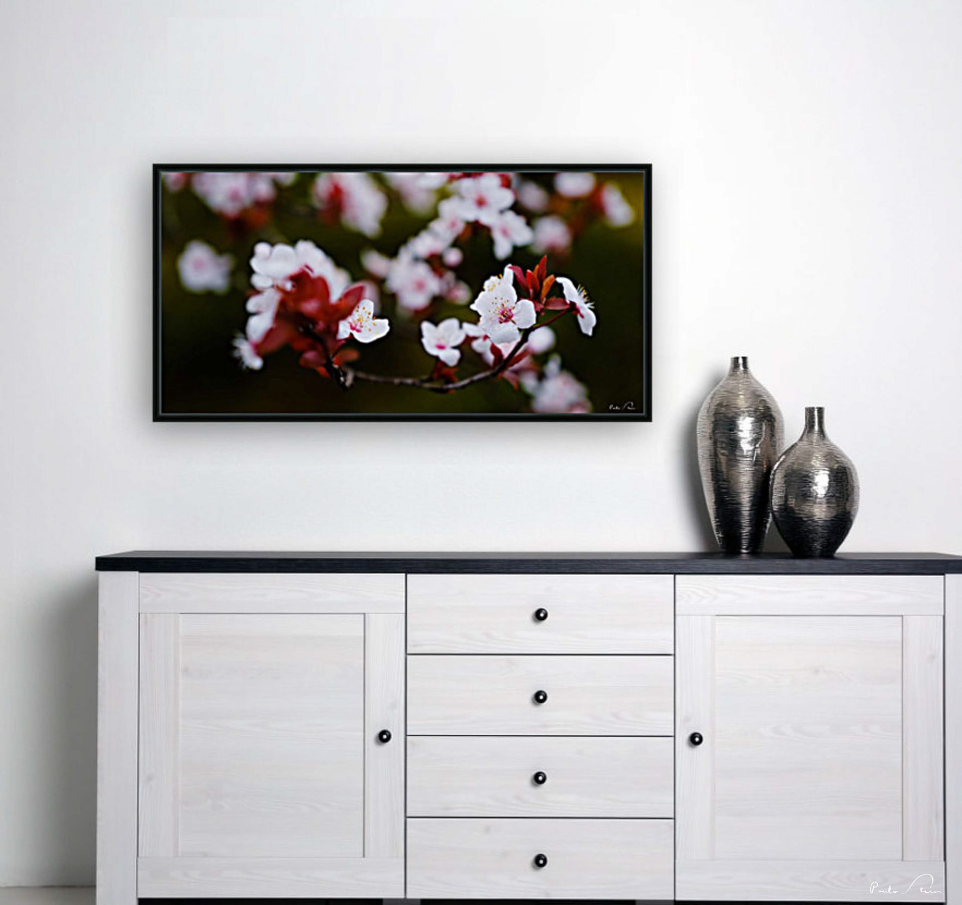 Flores da Cerejeira - 2