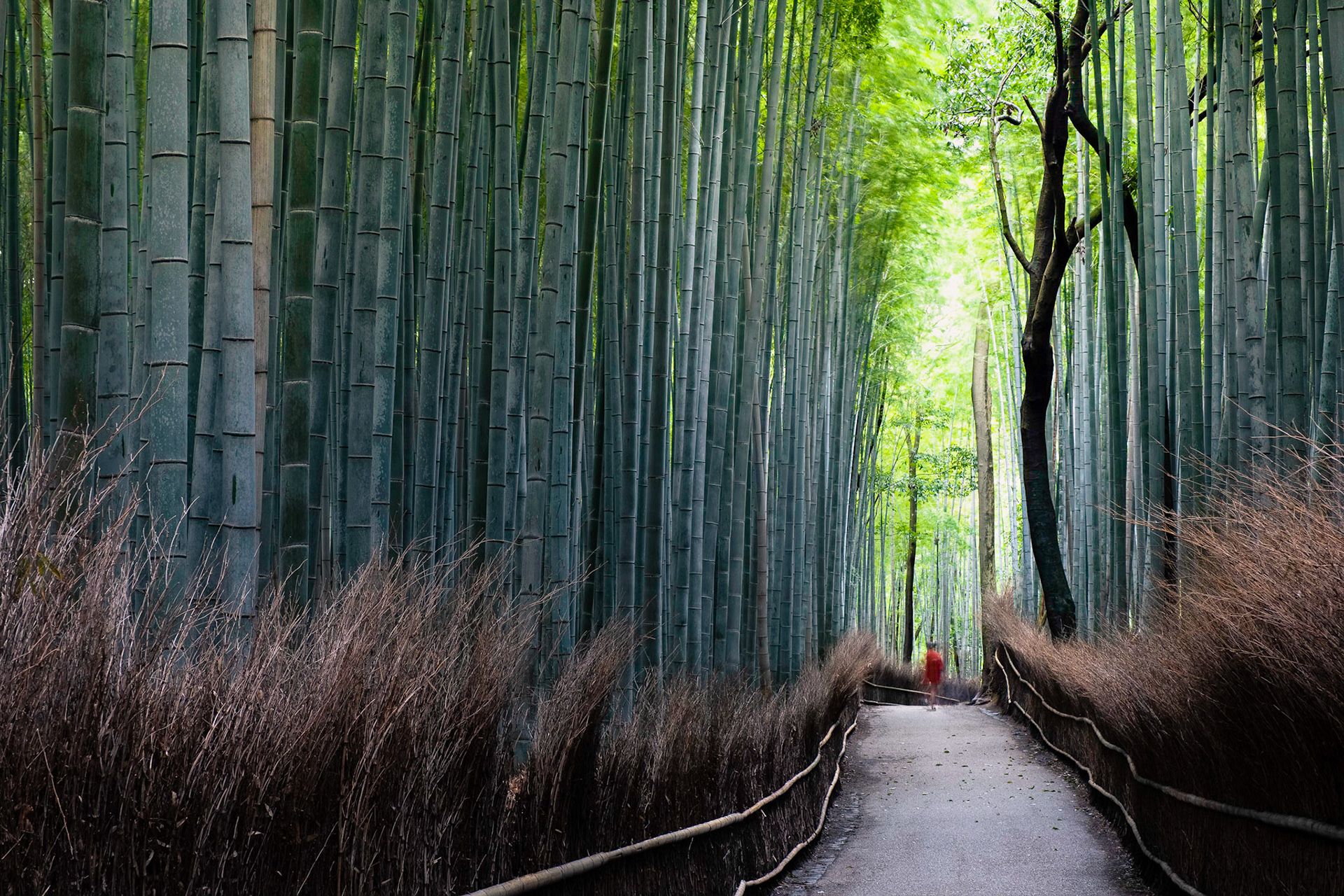 Arashiyama 01