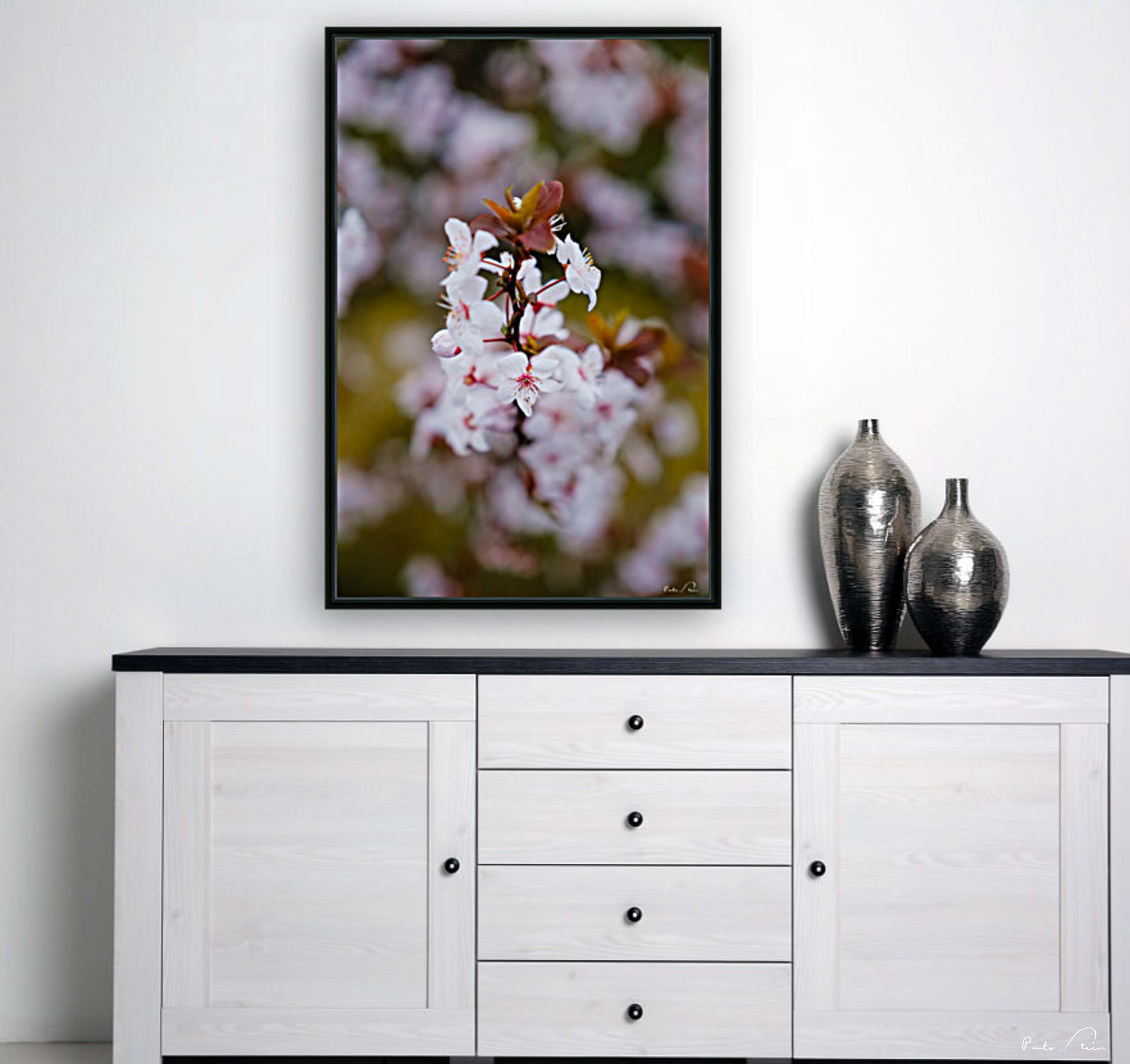 Flores da Cerejeira - 1