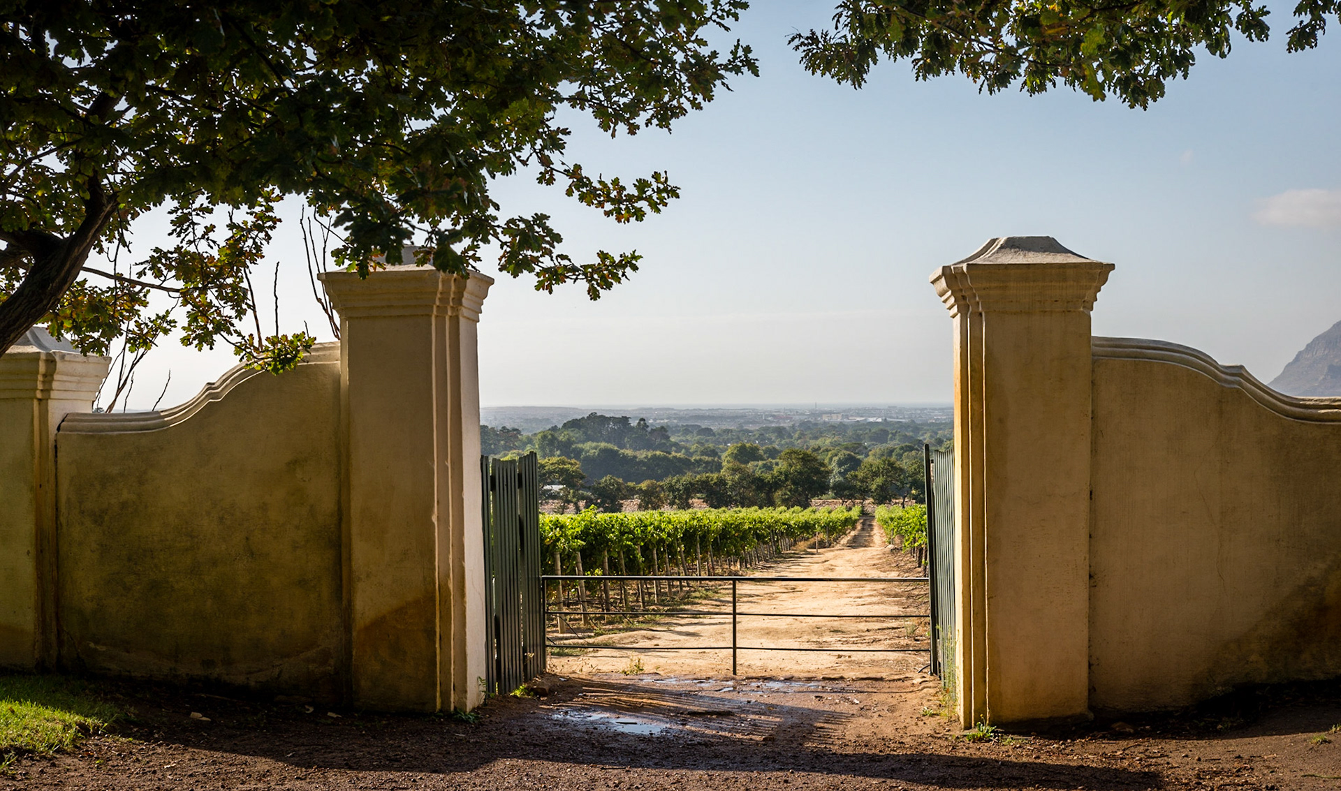 Stellenbosch 01