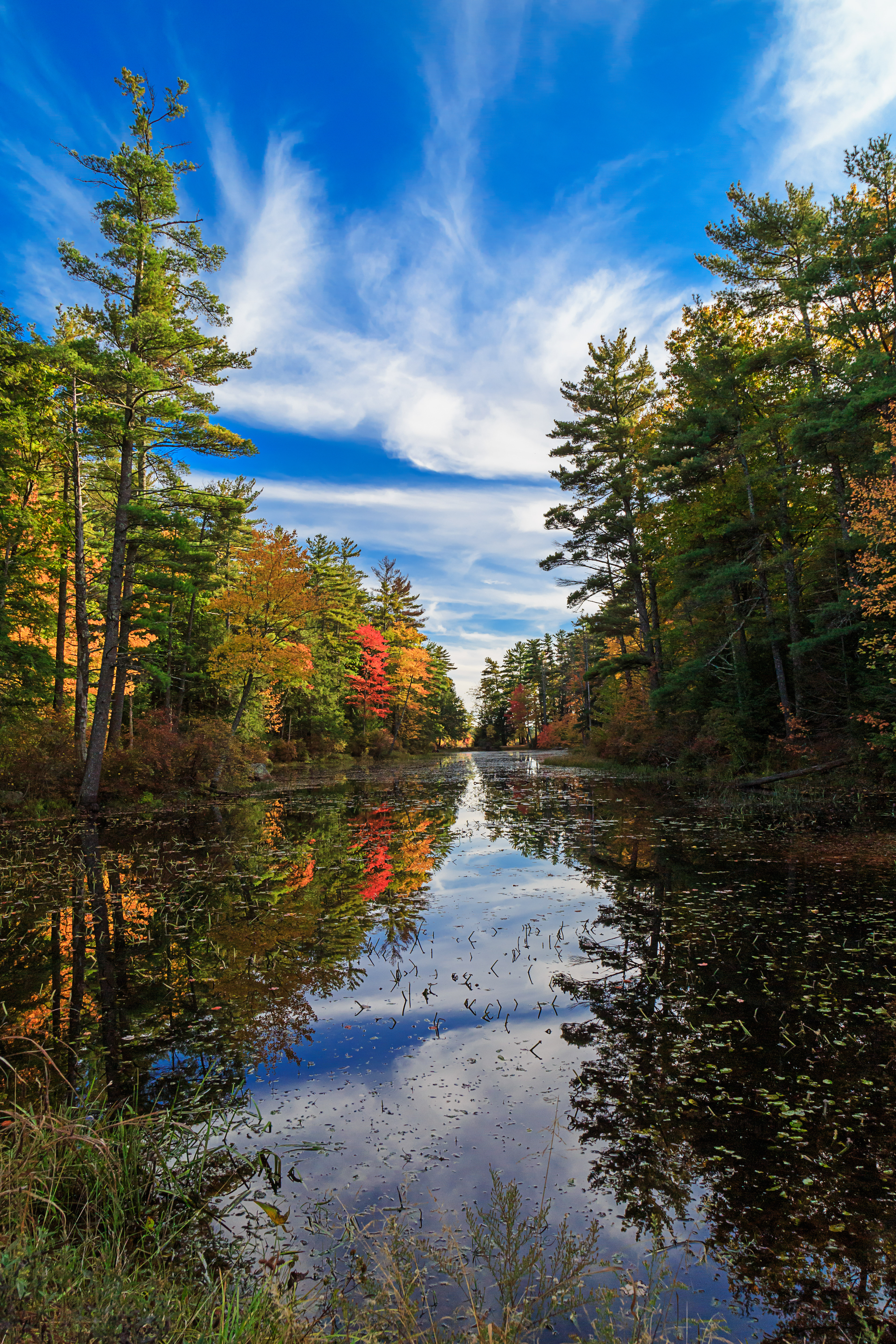 Pawtuckaway in the Fall