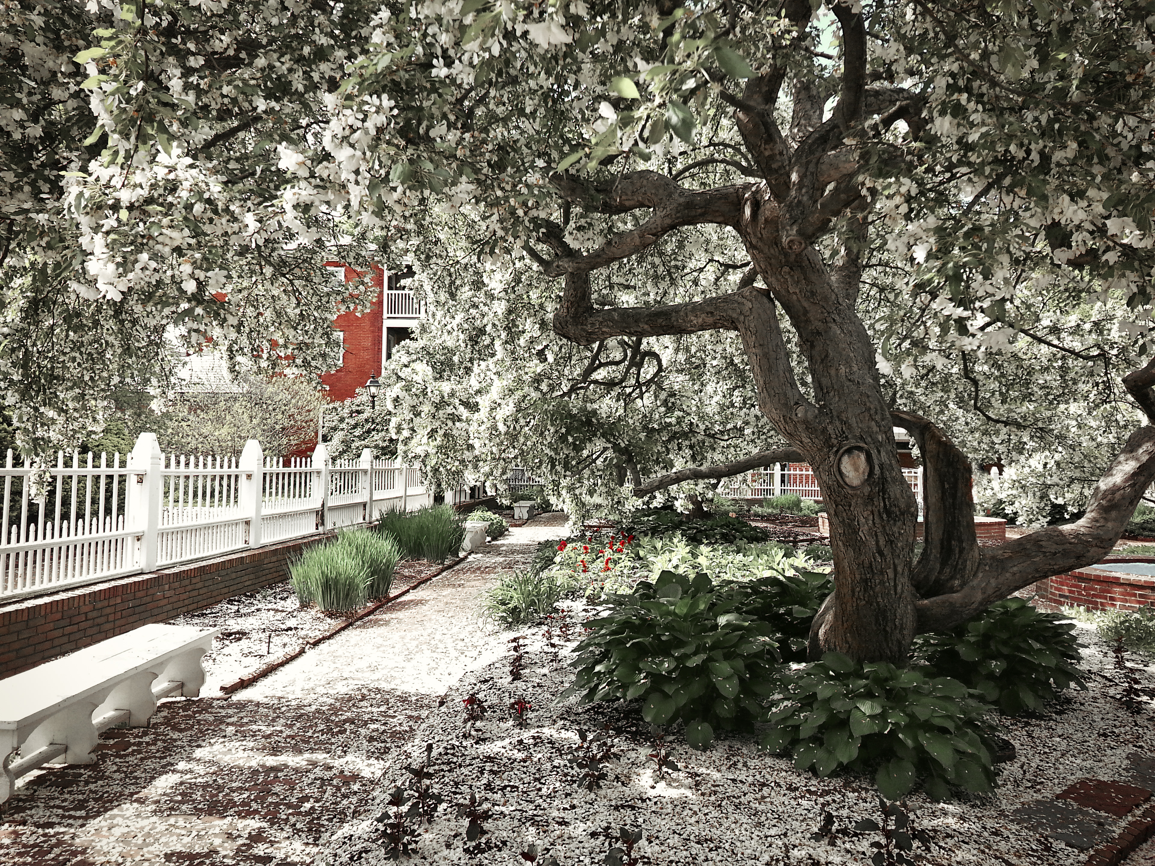 Prescott Park in the Spring